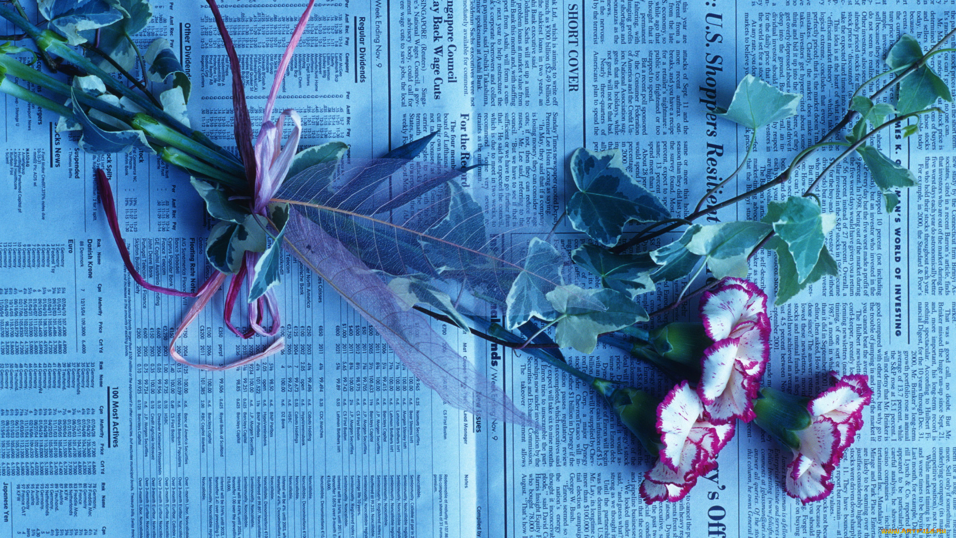 цветы, гвоздики, газета