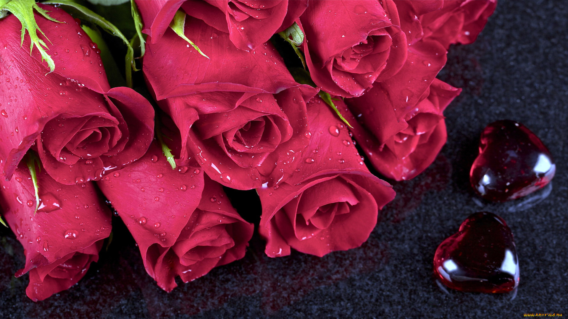 цветы, розы, капли, сердечки