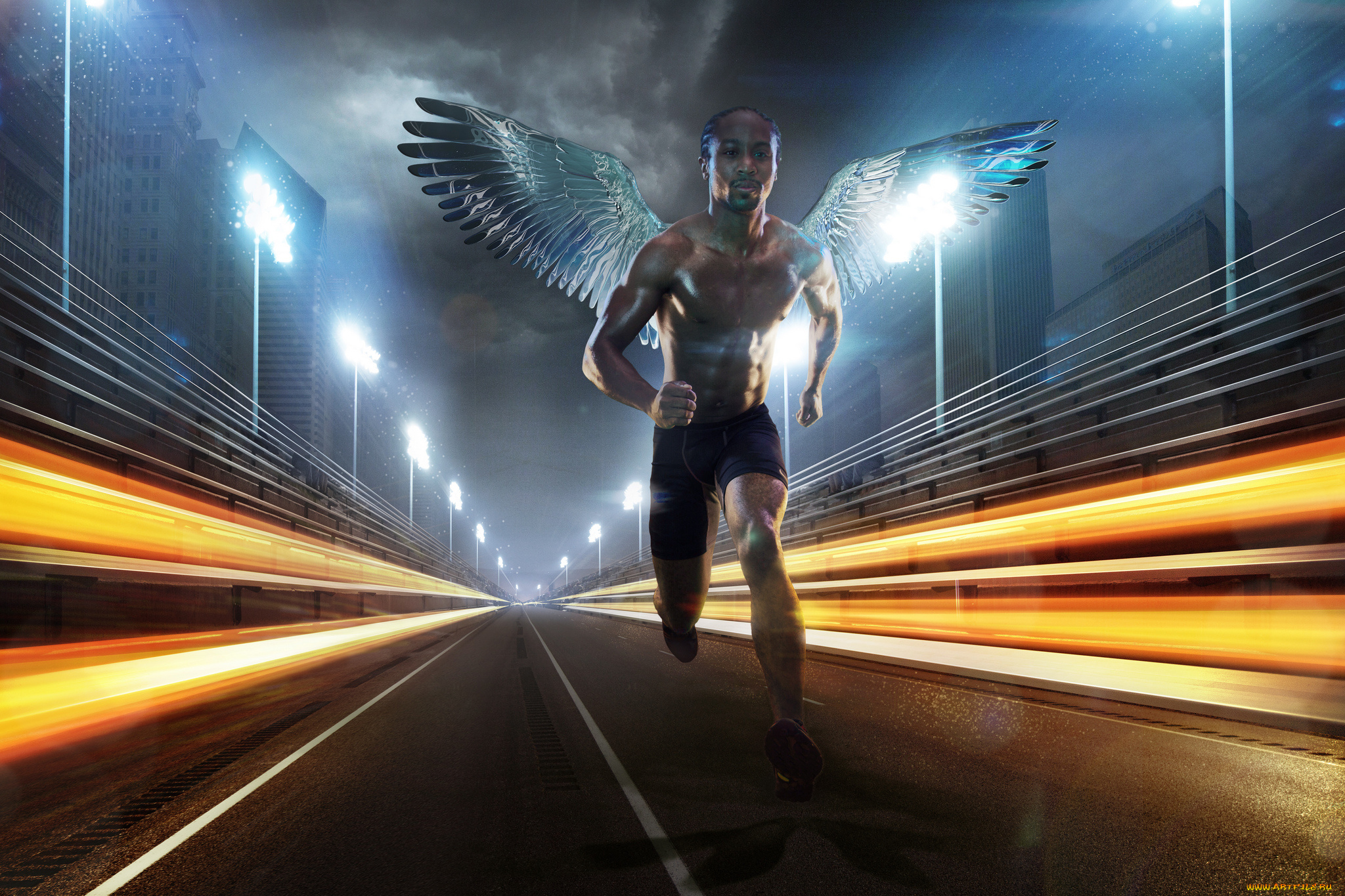 разное, компьютерный, дизайн, крылья