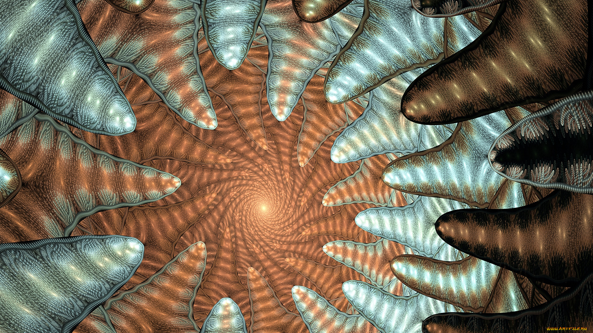 3д, графика, фракталы, , fractal, фон, узор, цвета