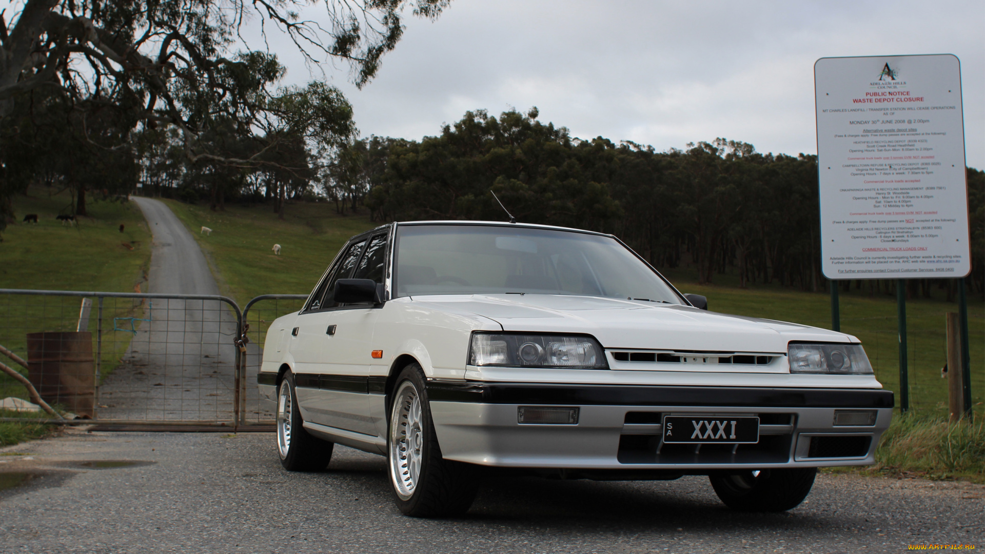 автомобили, nissan, datsun