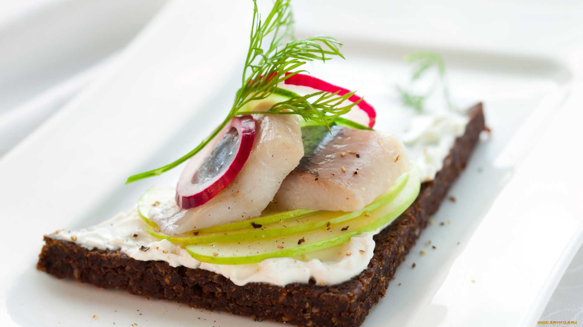 еда, бутерброды, , гамбургеры, , канапе, бутерброд, хлеб, селедка, зелень, лук