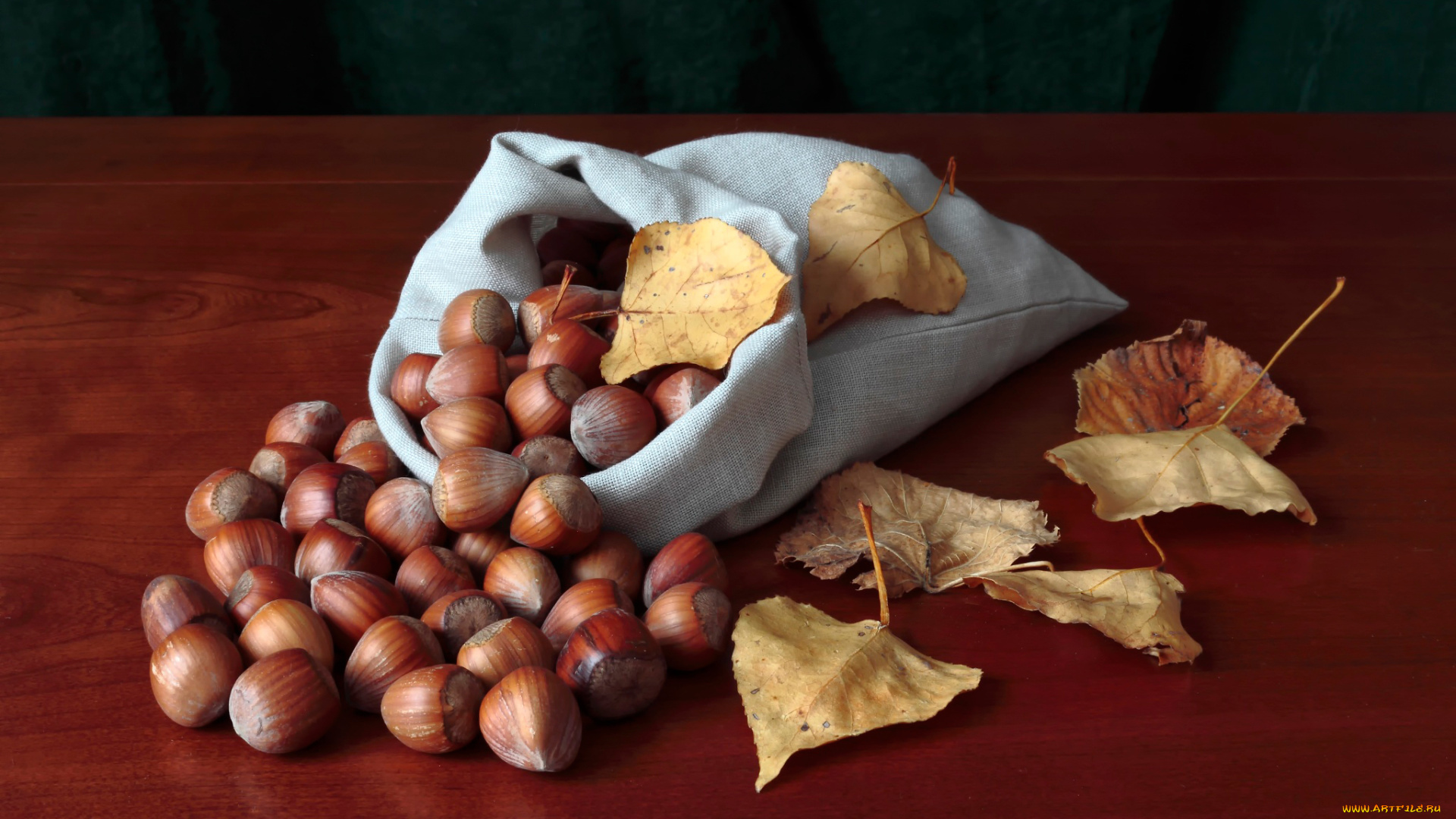 еда, орехи, , каштаны, , какао-бобы, урожай, осень, листья