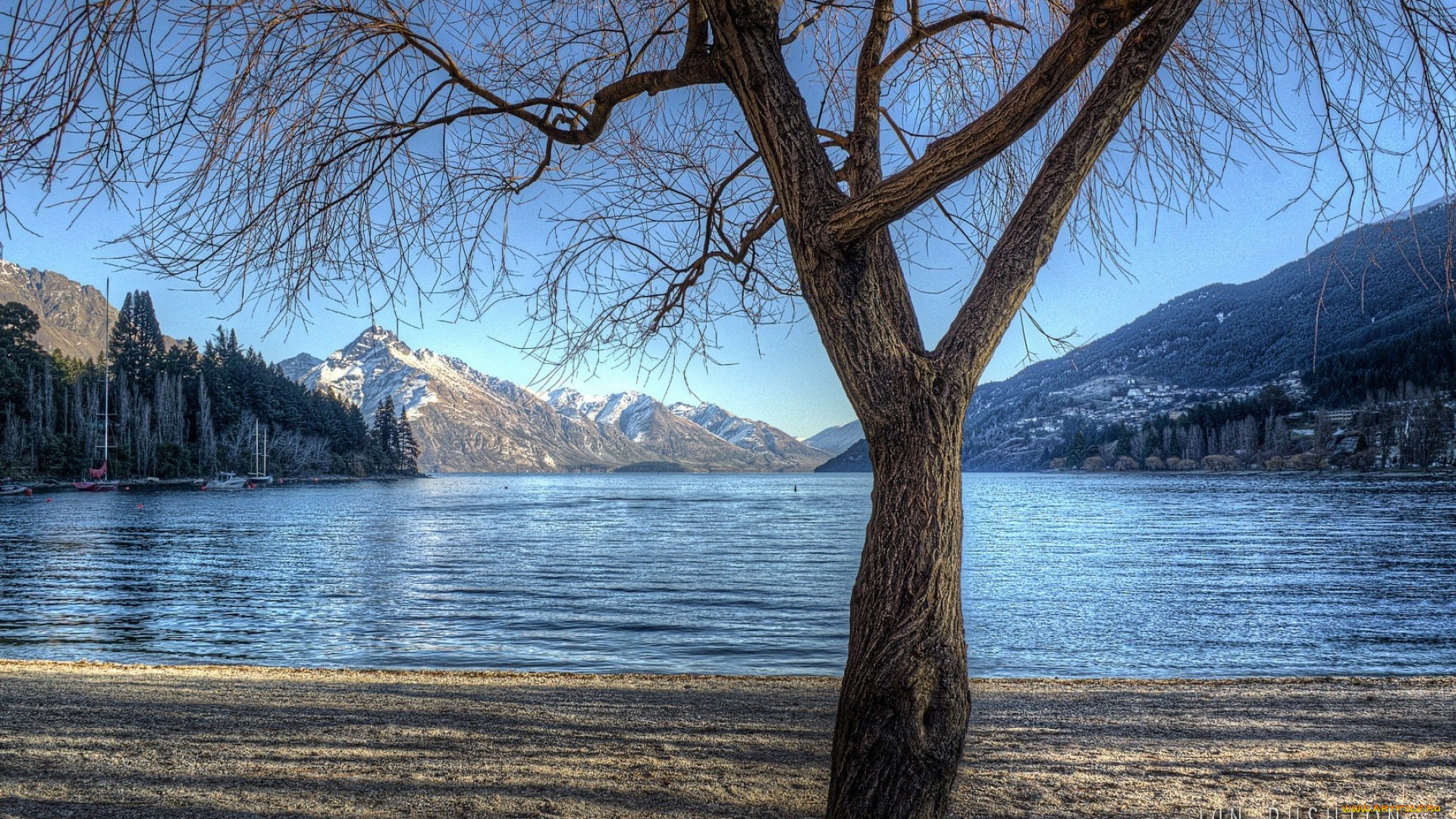 природа, реки, озера, дерево, озеро, берег, деревья, лес, горы