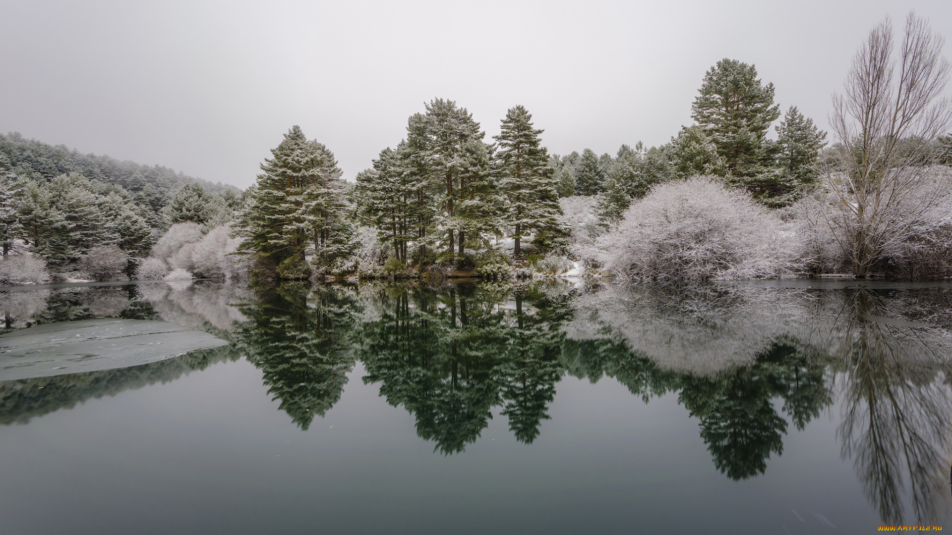 природа, реки, озера, лес, река, иней