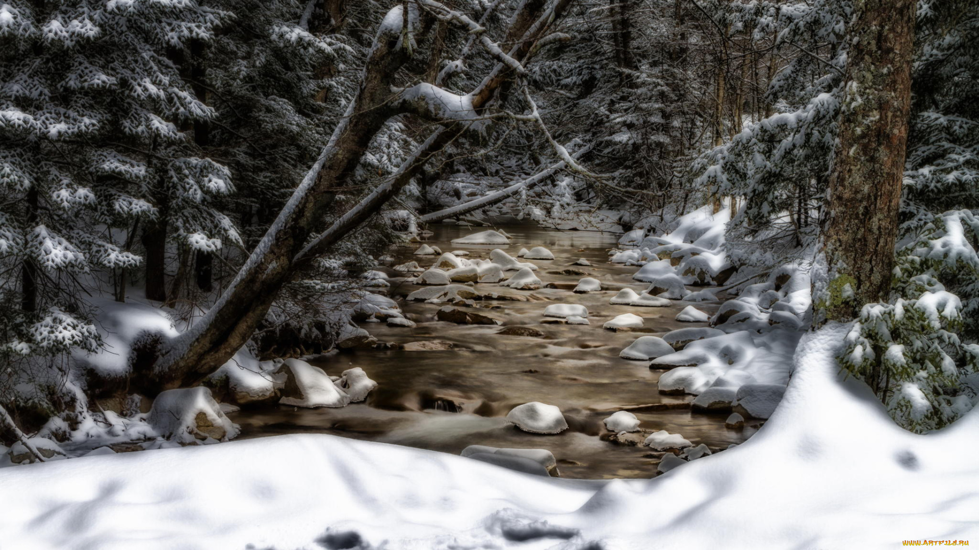 природа, реки, озера, снег, деревья, ручей, new, hampshire