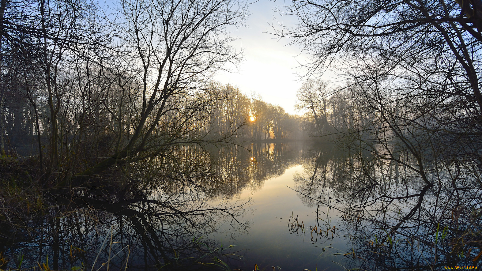 природа, реки, озера, утро, деревья, небо, озеро, туман, солнце