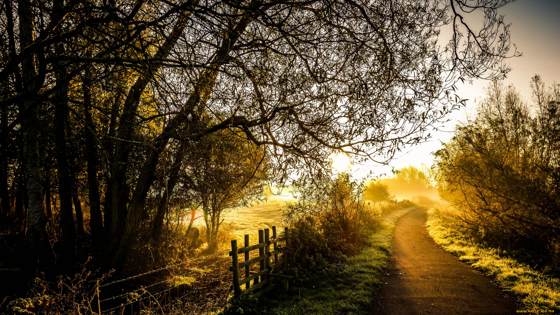 природа, восходы, закаты, лес, дорога, рассвет