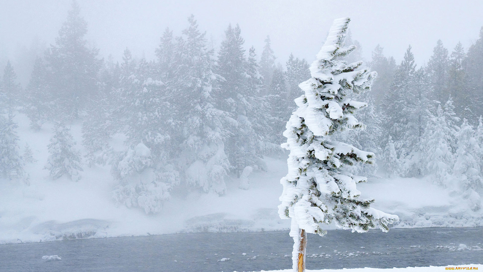 природа, зима, снег, река, деревья, метель