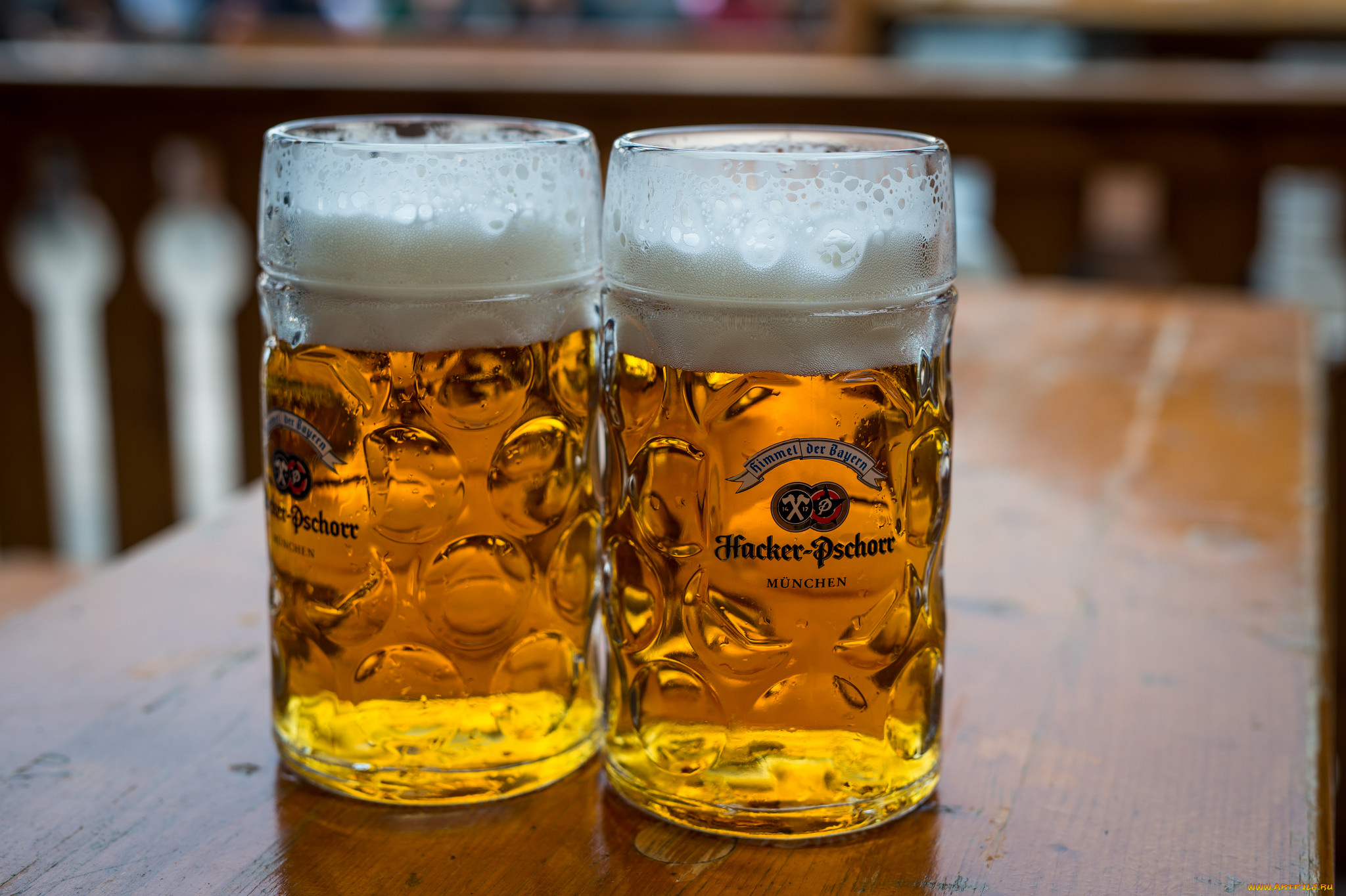 еда, напитки, , пиво, пена, пиво, кружки