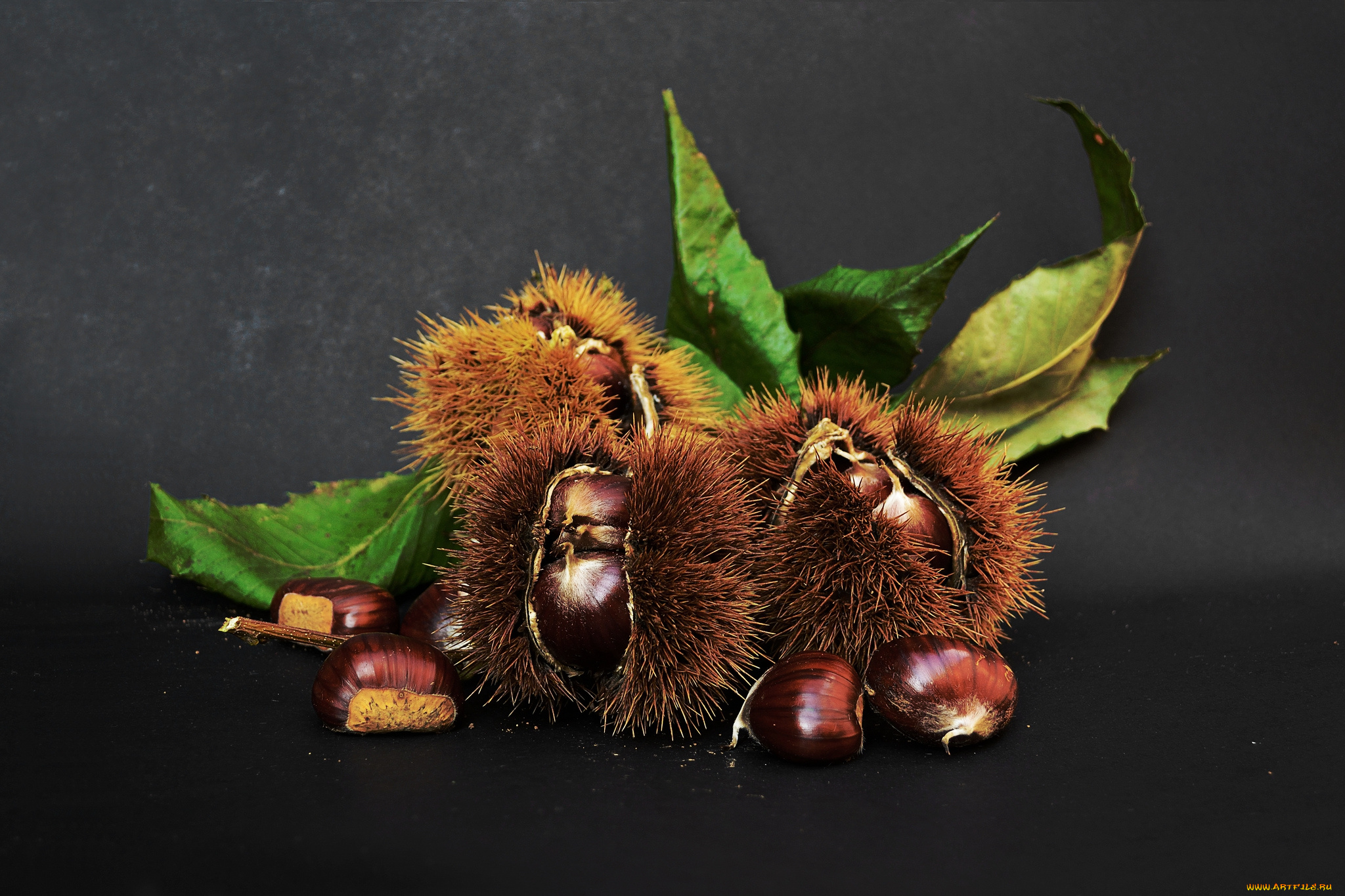 еда, орехи, , каштаны, , какао-бобы, каштаны