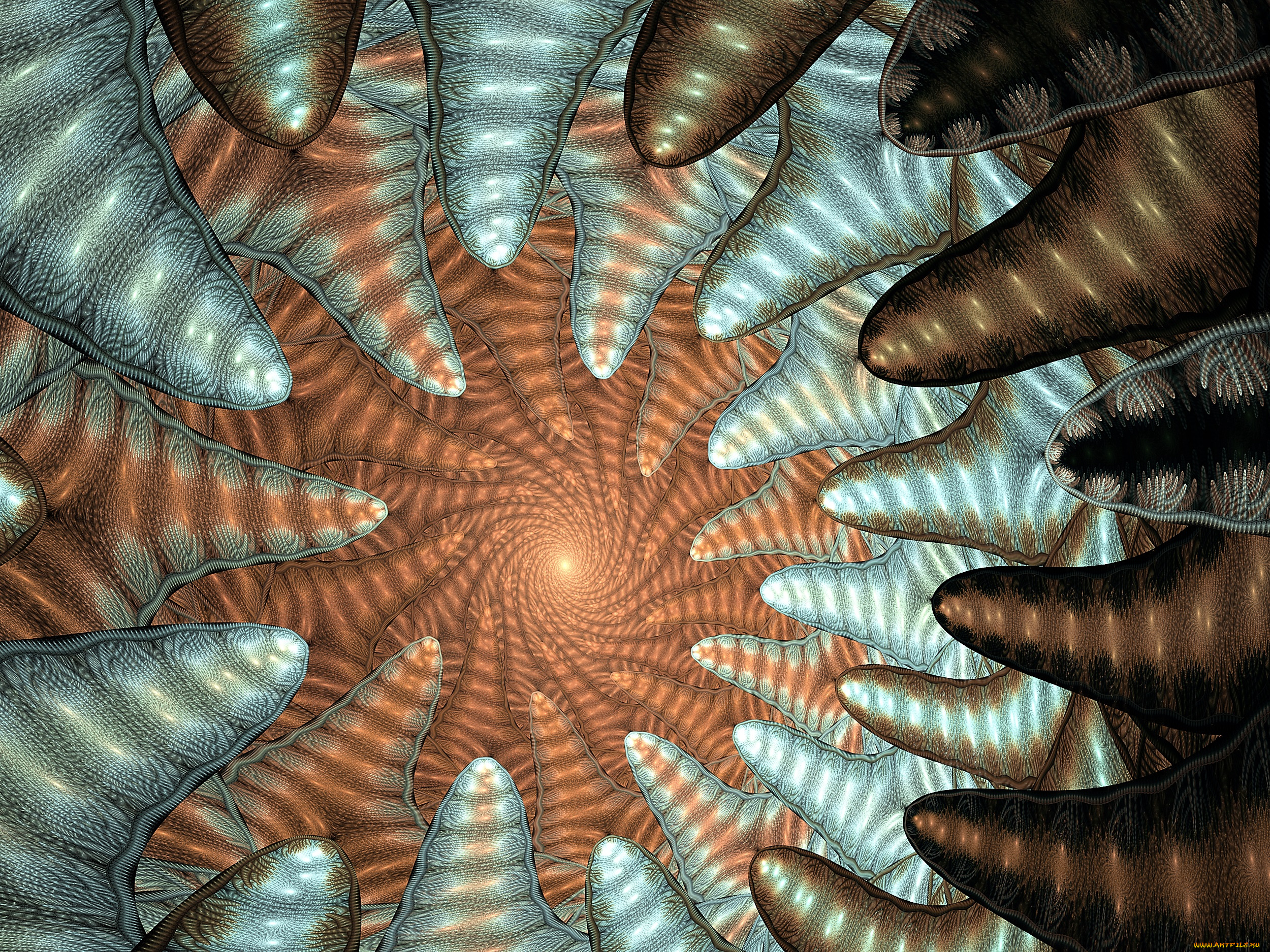 3д, графика, фракталы, , fractal, фон, узор, цвета