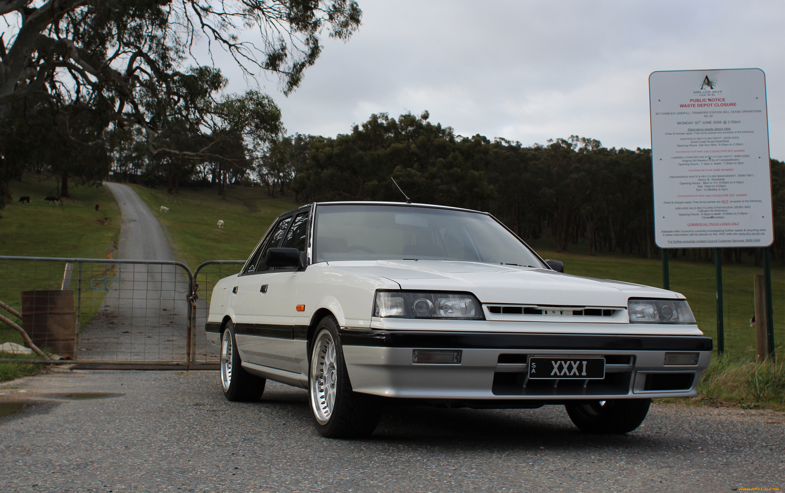 автомобили, nissan, datsun