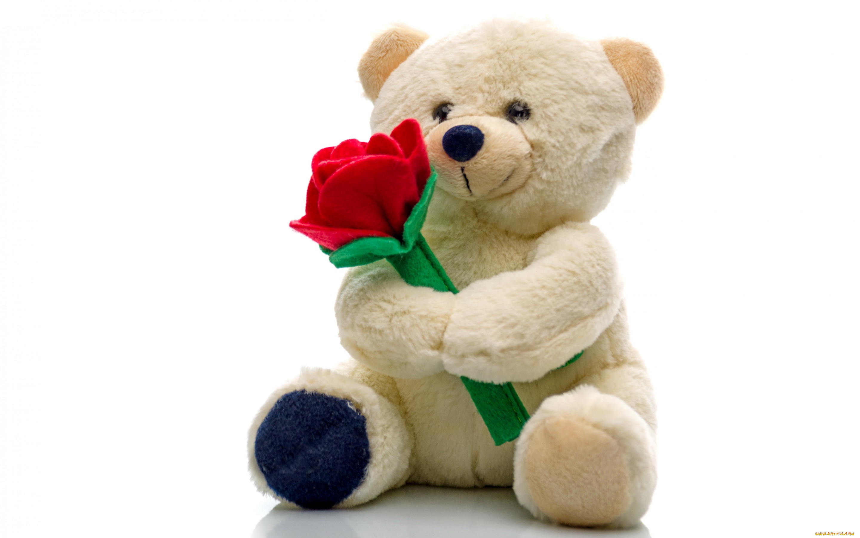 разное, игрушки, плюшевый, игрушка, teddy, мишка, bear