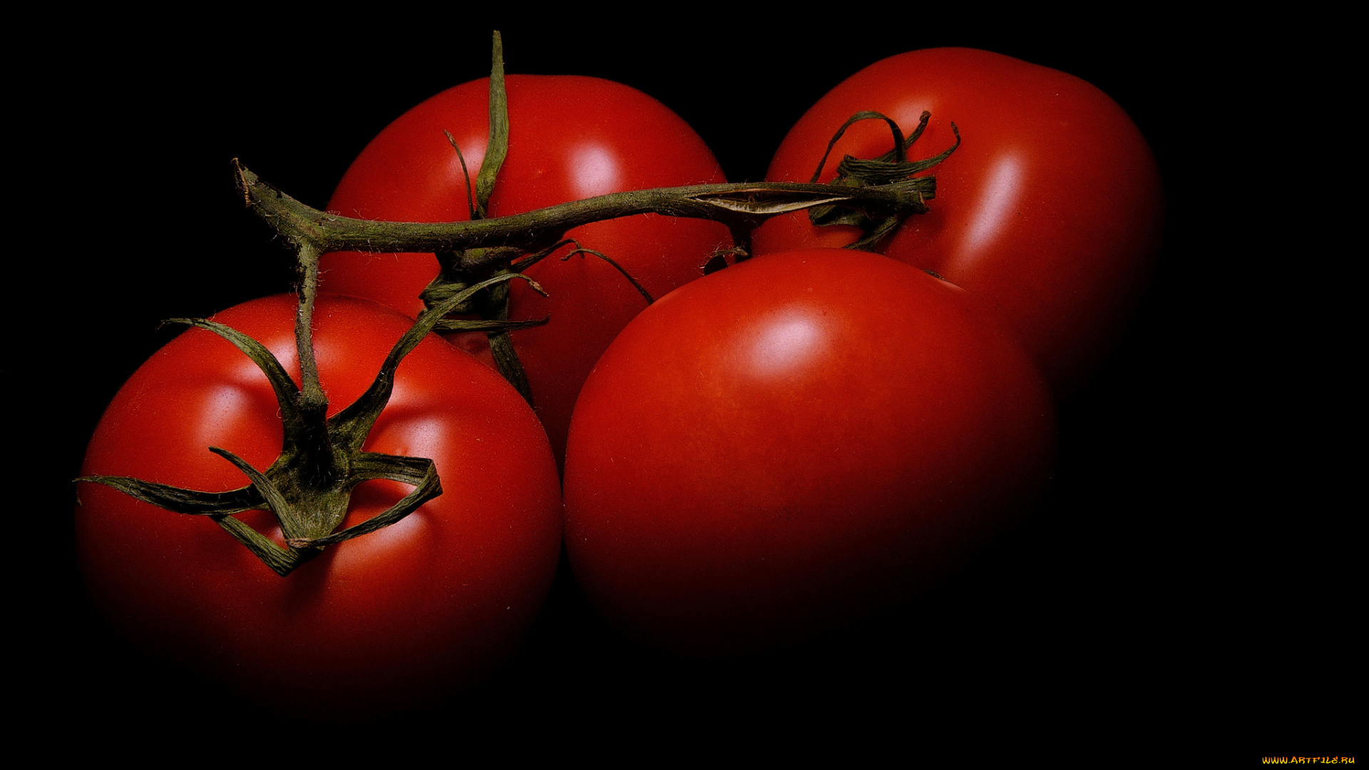 еда, помидоры, томаты