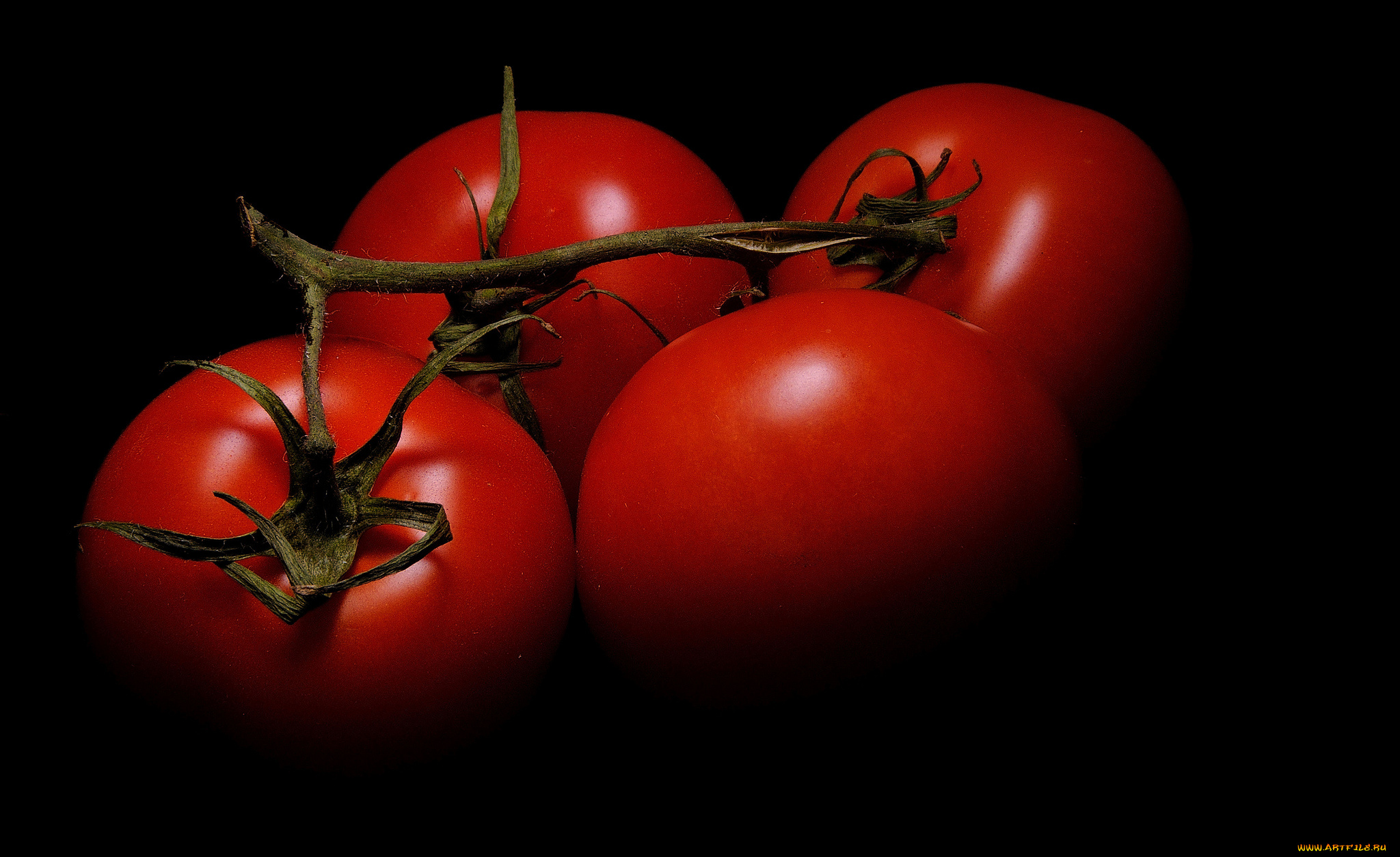 еда, помидоры, томаты