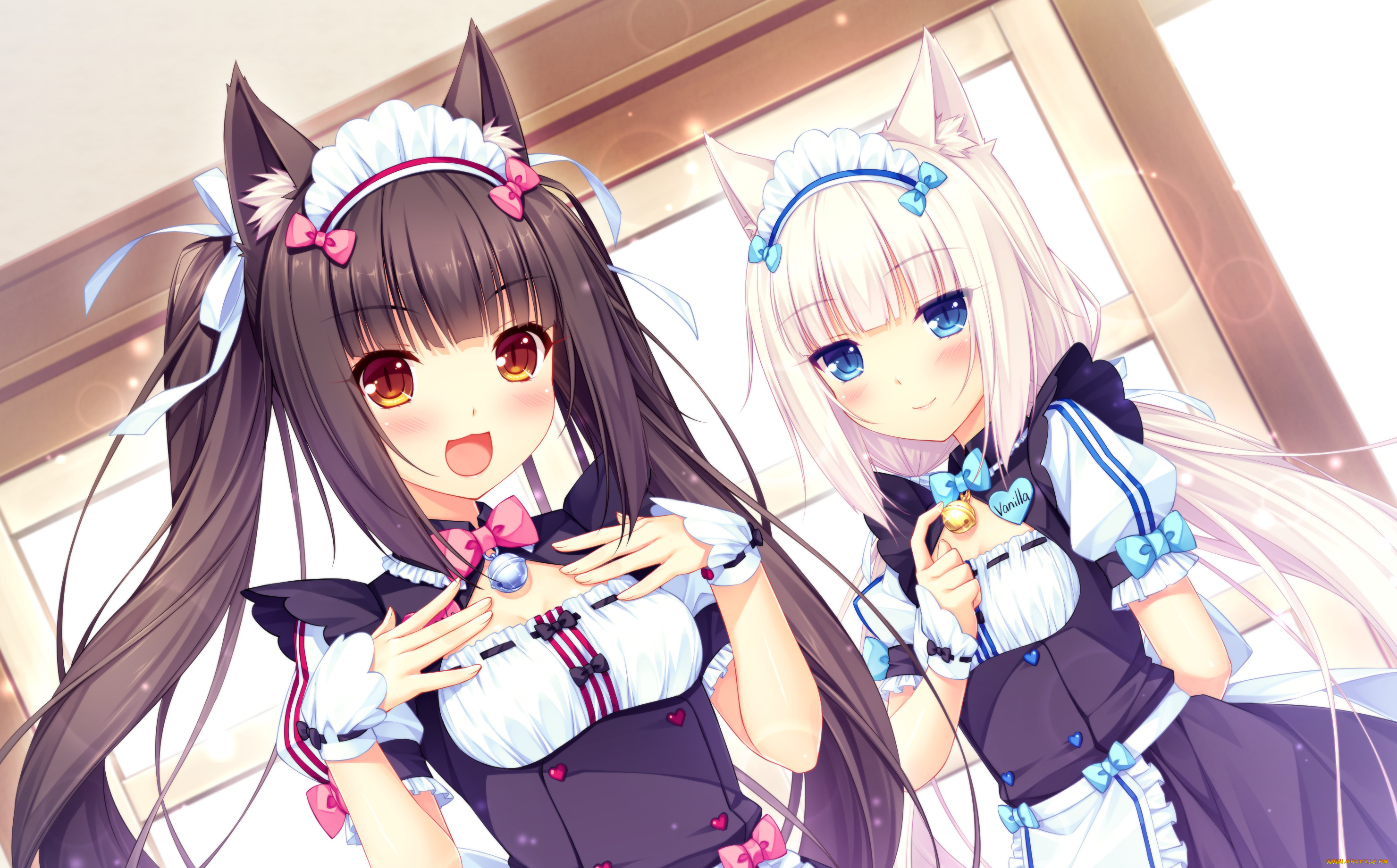 аниме, nekopara, фон, взгляд, девушки