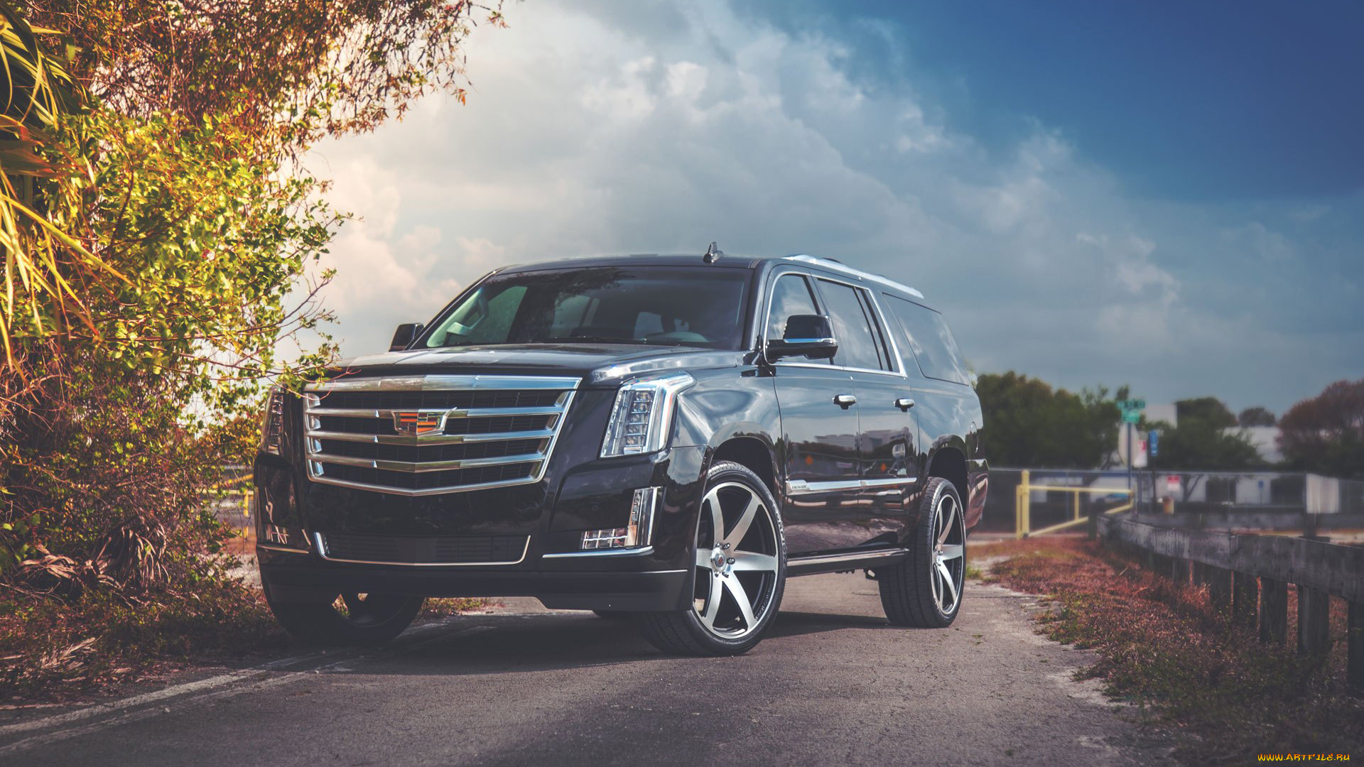 автомобили, cadillac