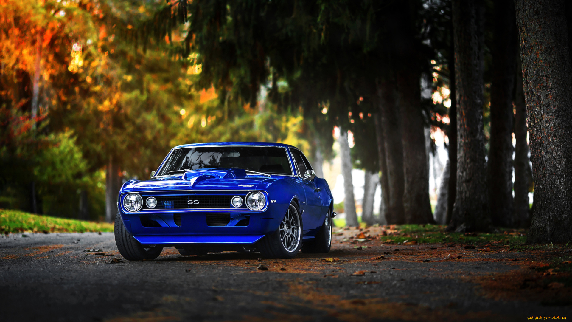 автомобили, camaro