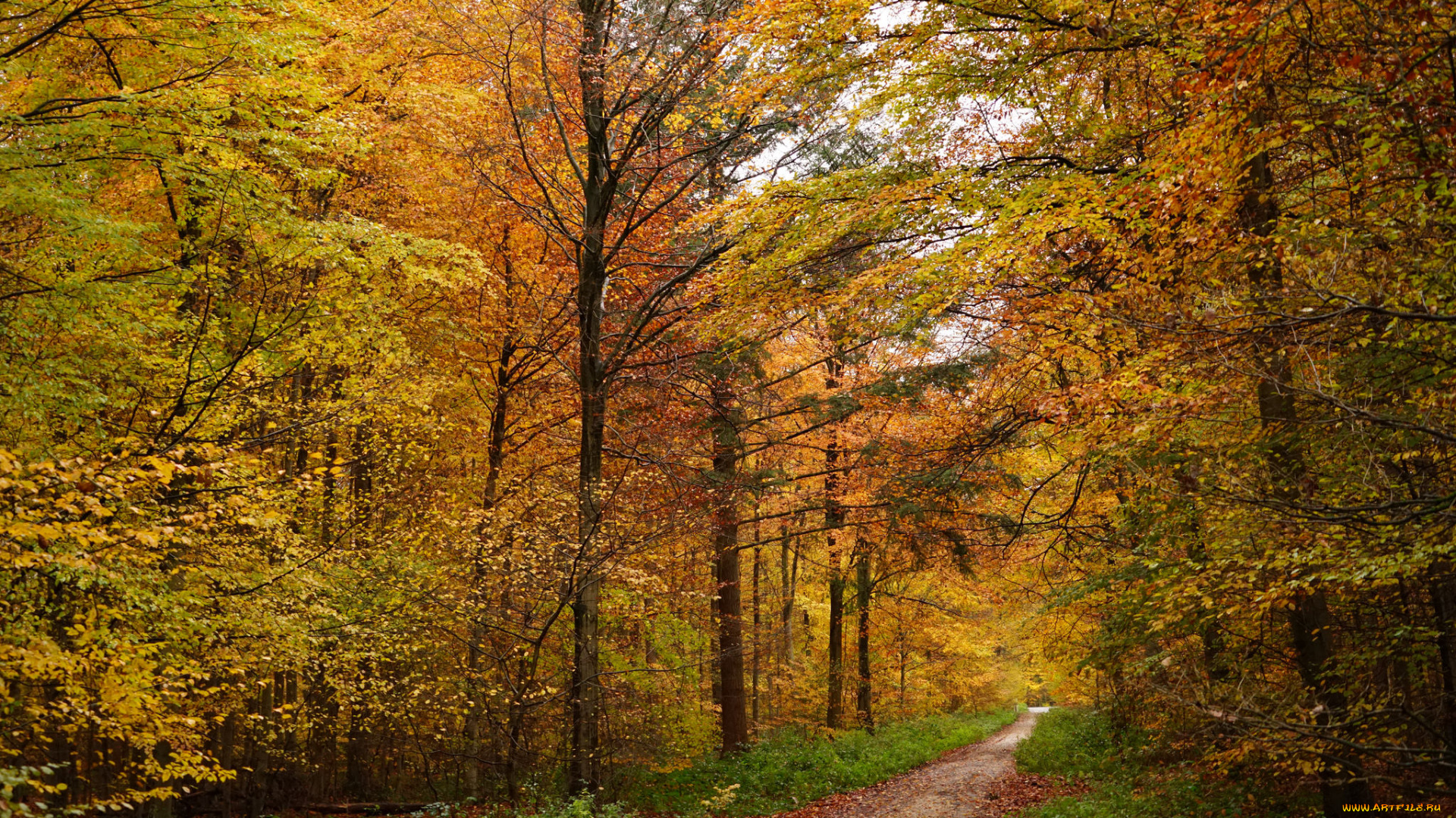 природа, дороги, простор