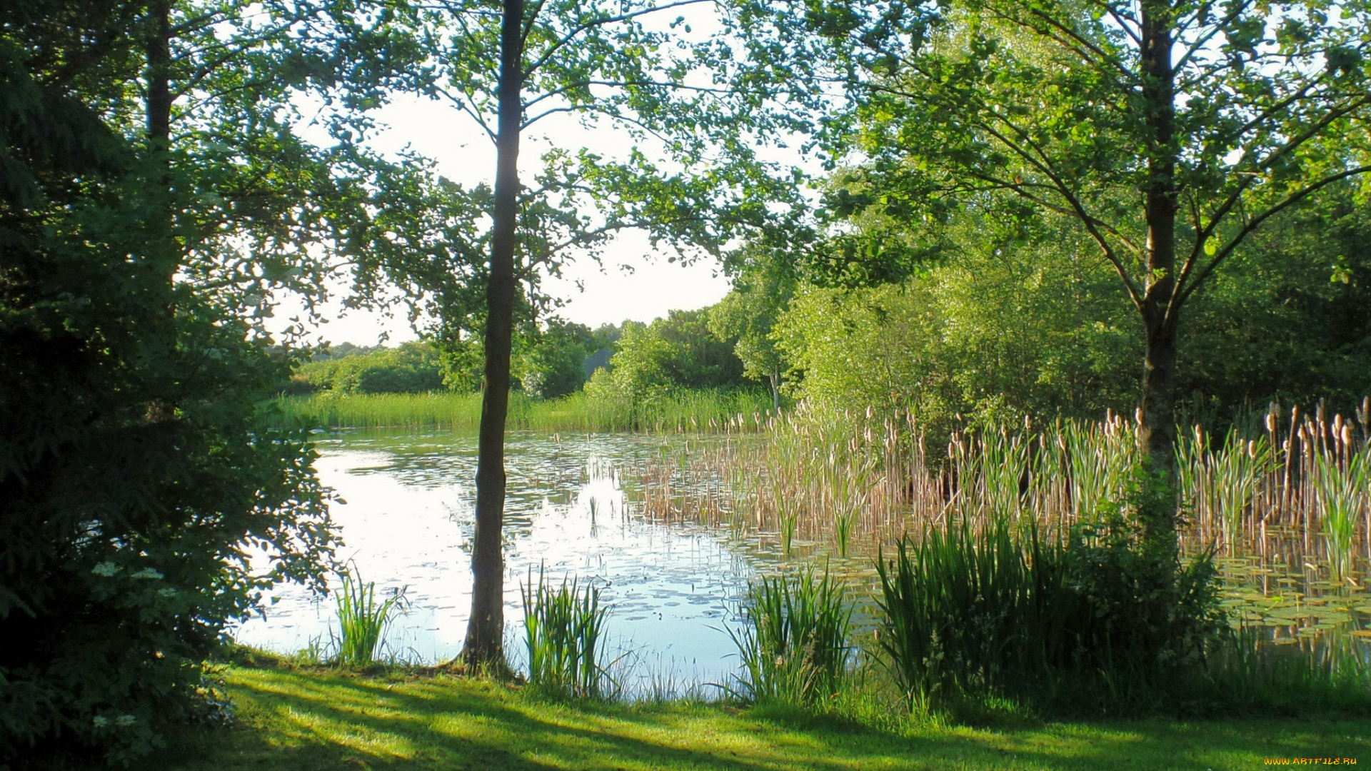 природа, реки, озера, простор