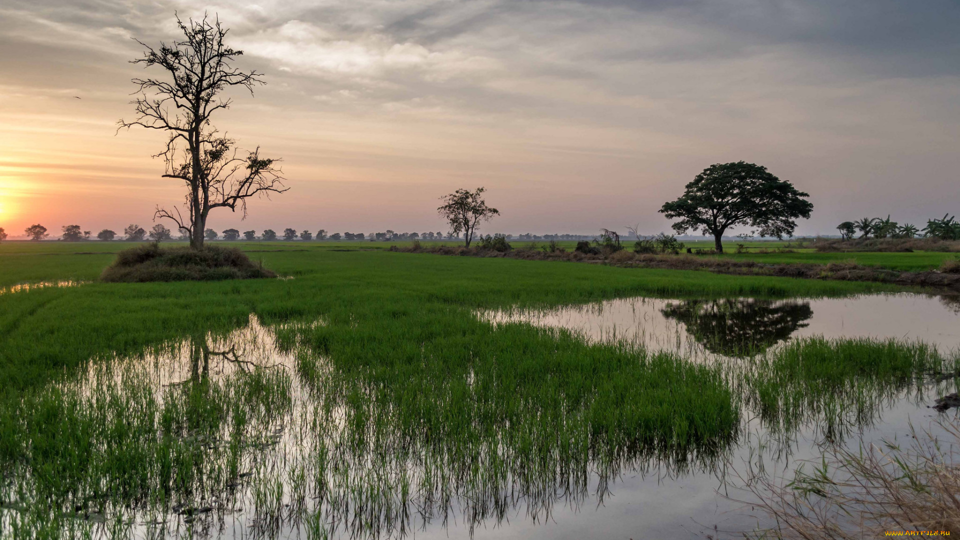 природа, реки, озера, простор