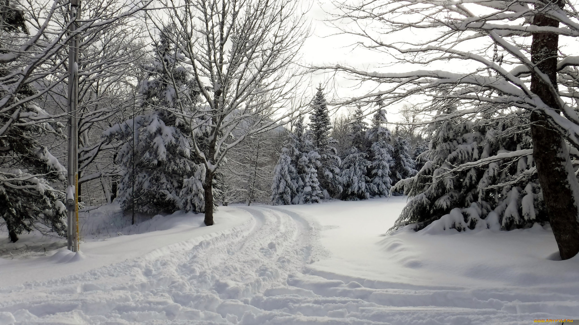 природа, зима, простор