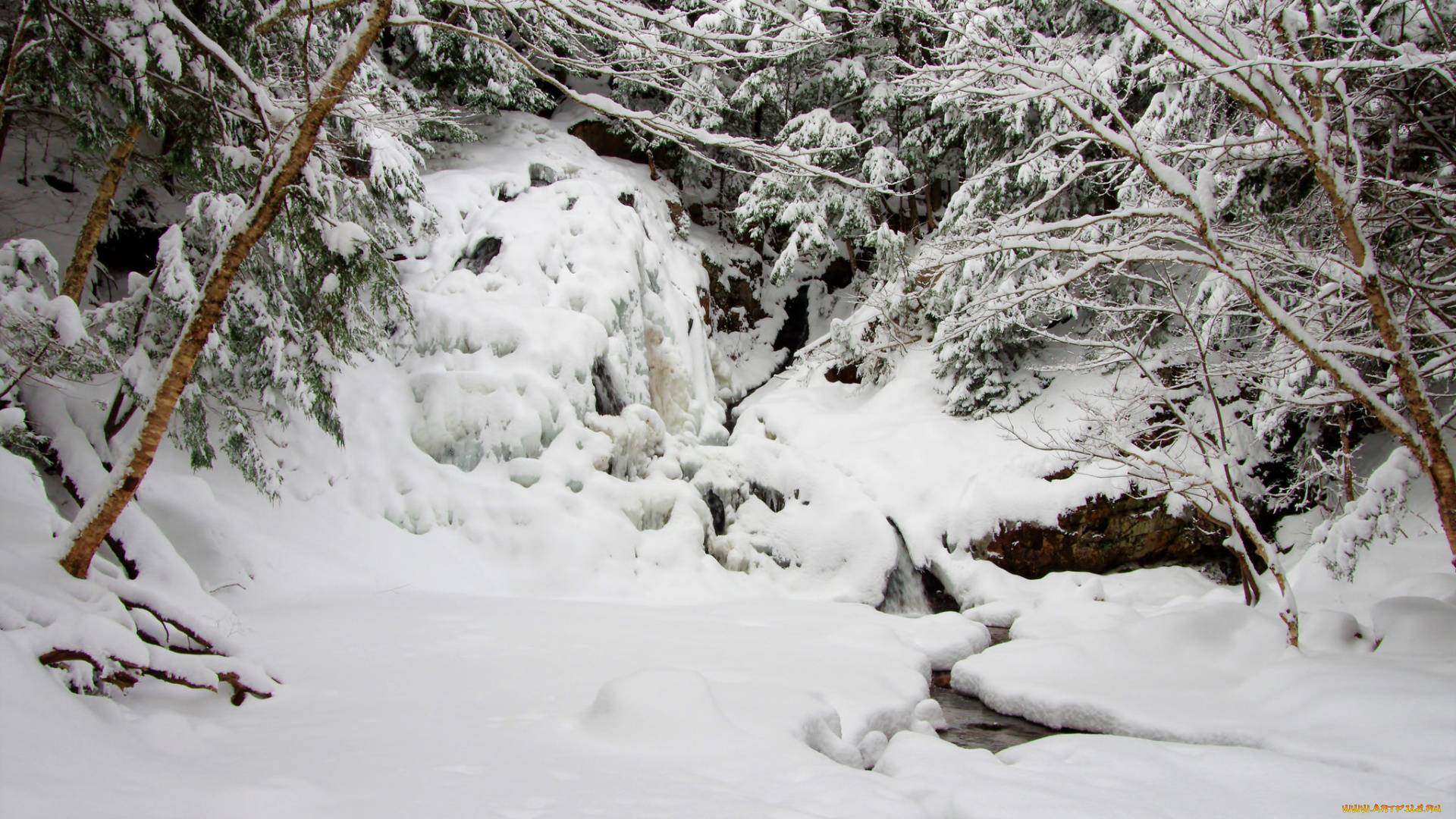 природа, зима, простор