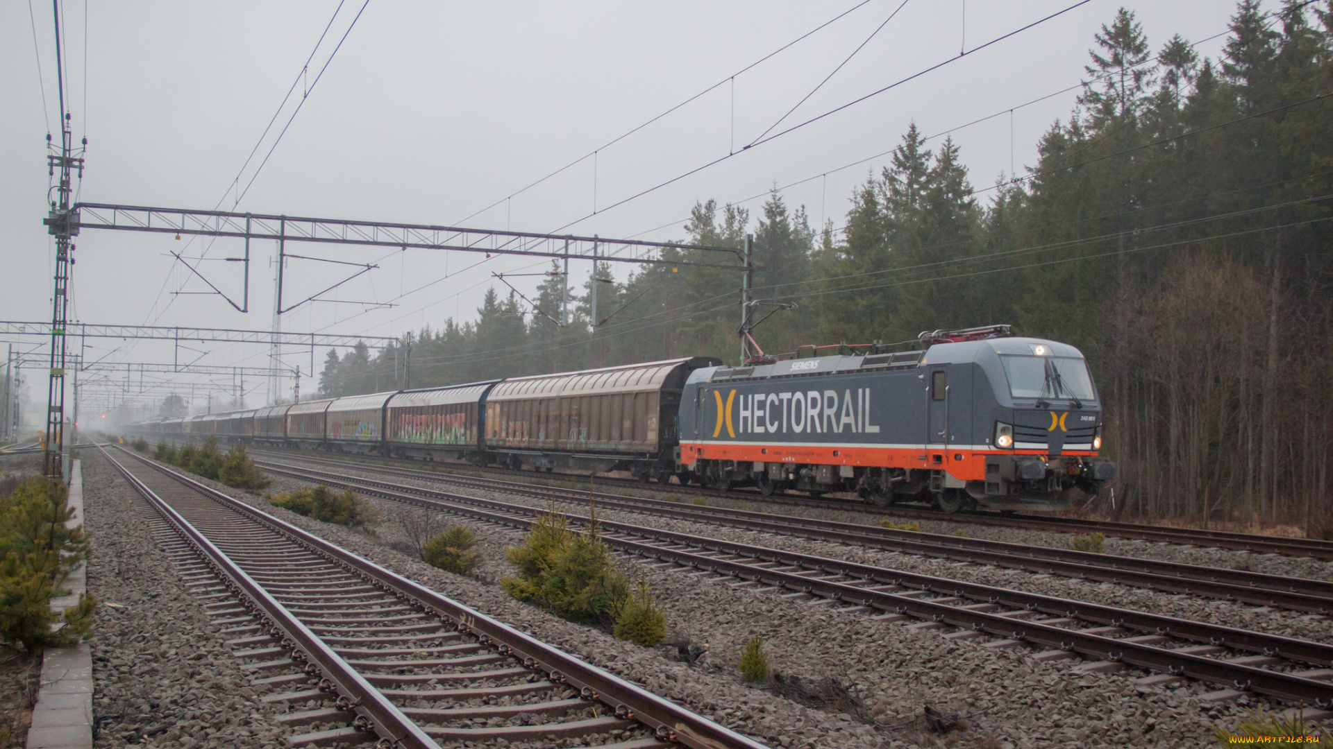 техника, электровозы, состав, локомотив