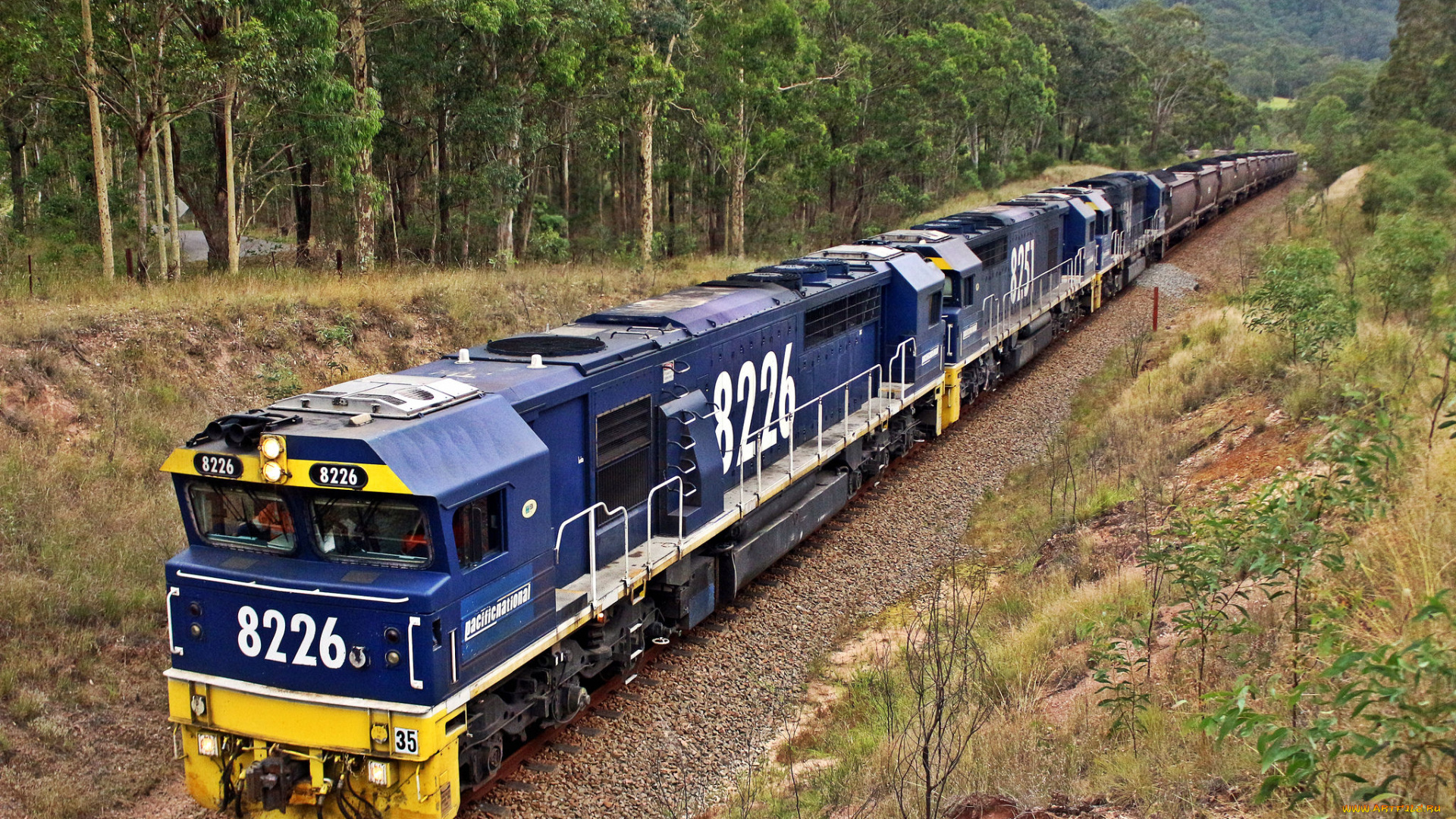 техника, поезда, локомотив, состав