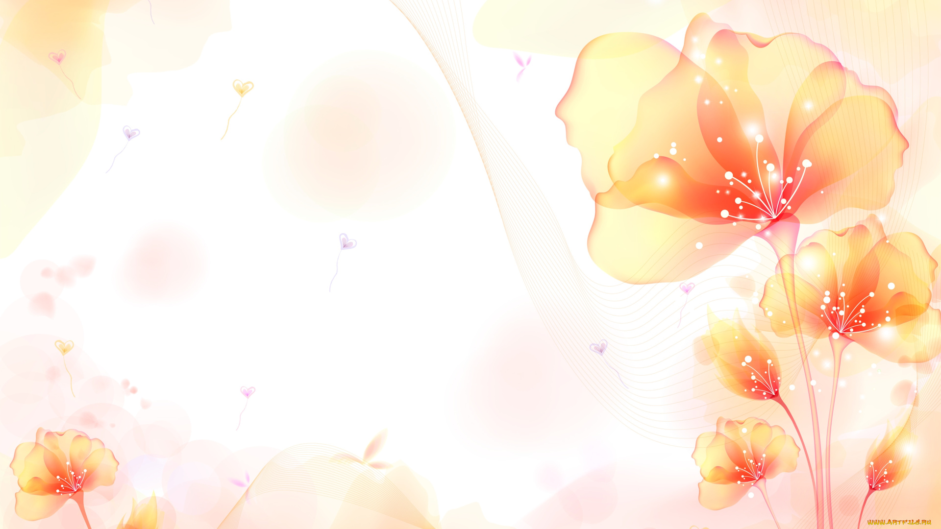 векторная, графика, цветы, , flowers, цветы, фон