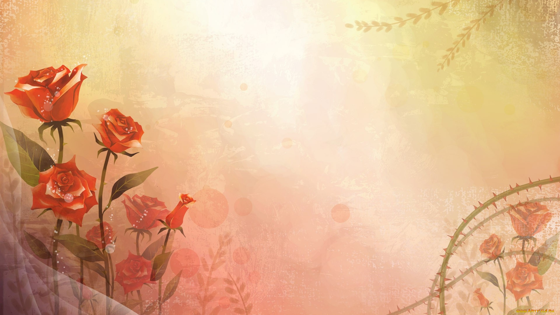 векторная, графика, цветы, , flowers, фон, цветы