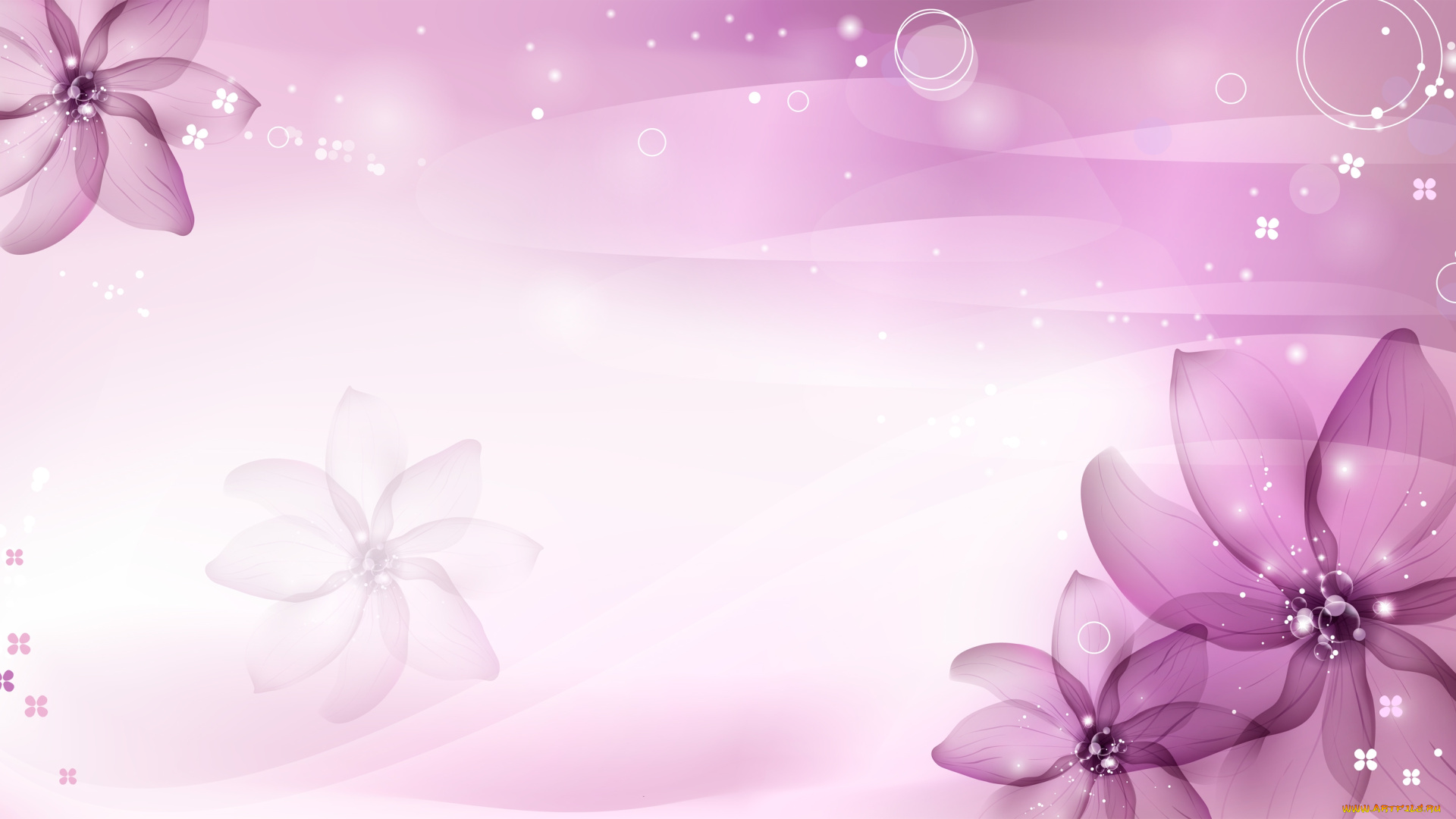 векторная, графика, цветы, , flowers, фон, цветы