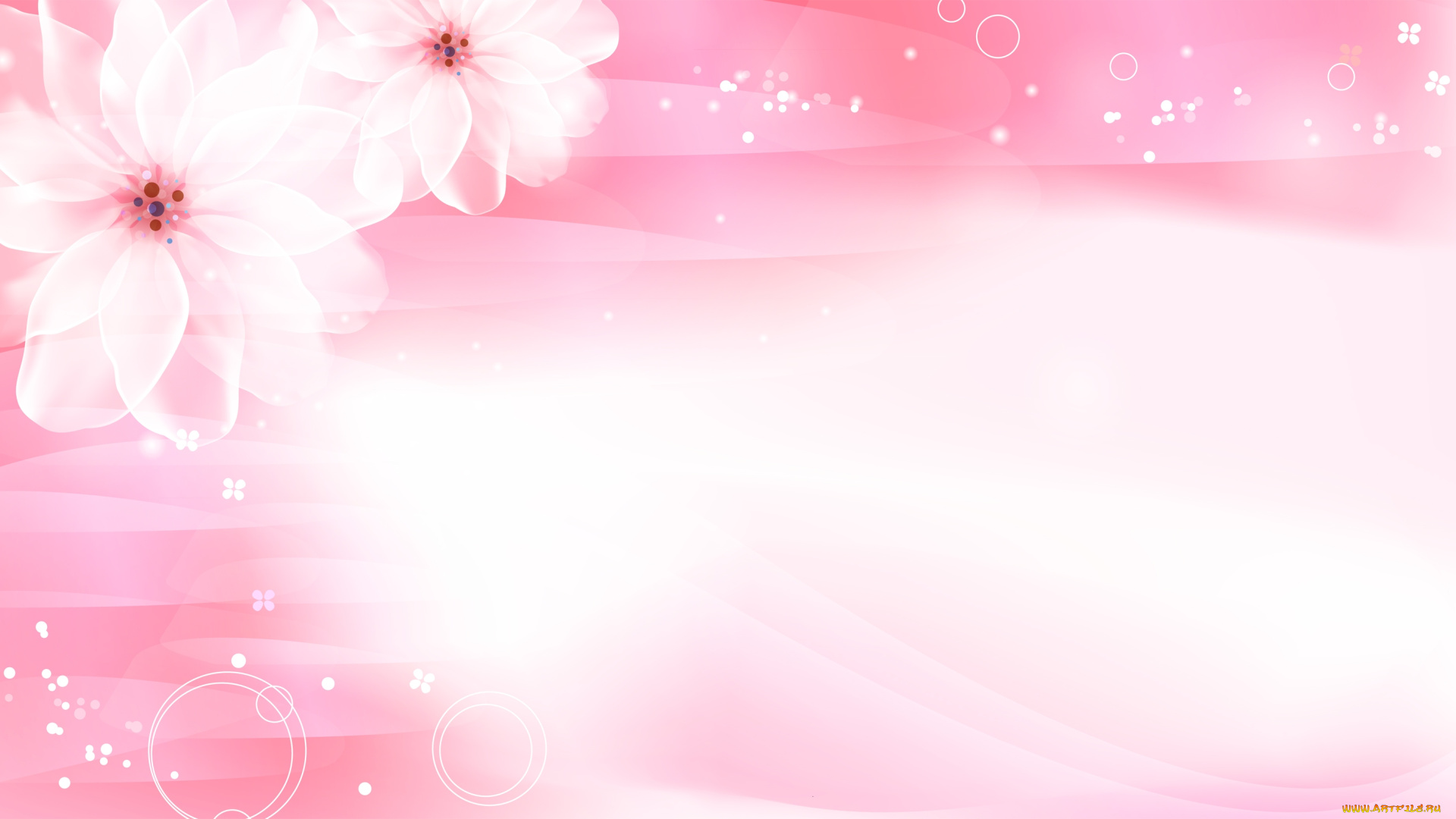 векторная, графика, цветы, , flowers, фон, цветы