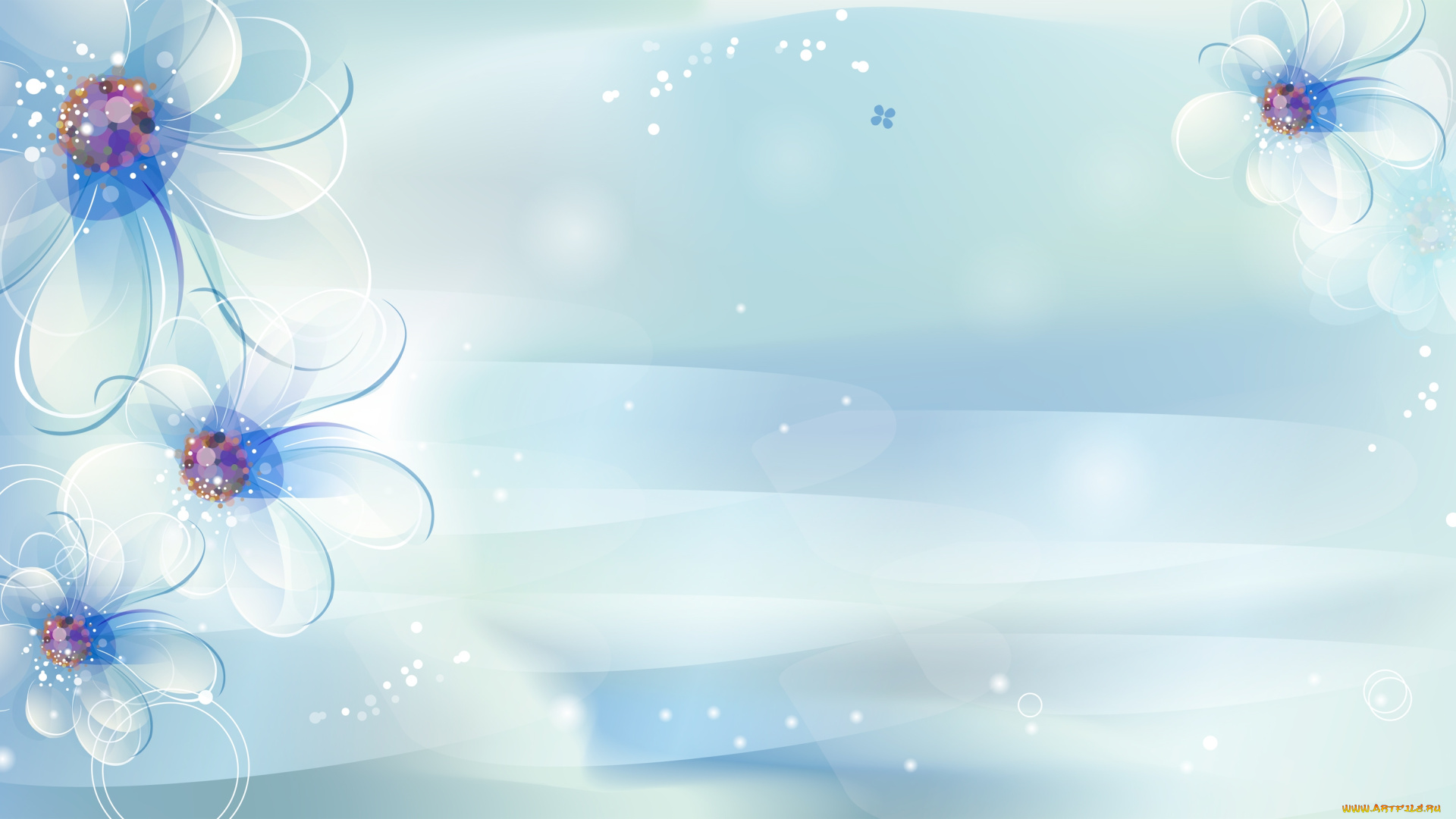 векторная, графика, цветы, , flowers, фон, цветы