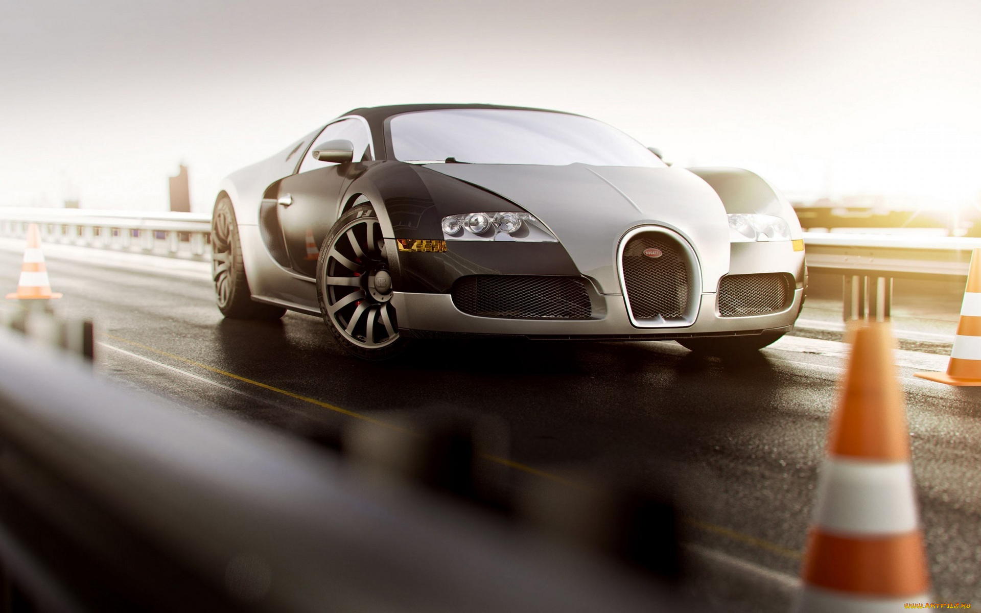 автомобили, bugatti, бугатти, шоссе, дорога, veyron, светлый