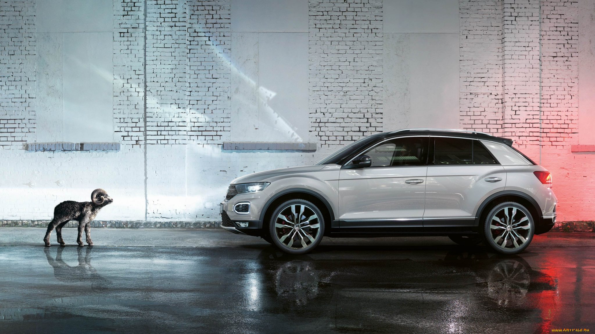 автомобили, volkswagen, car