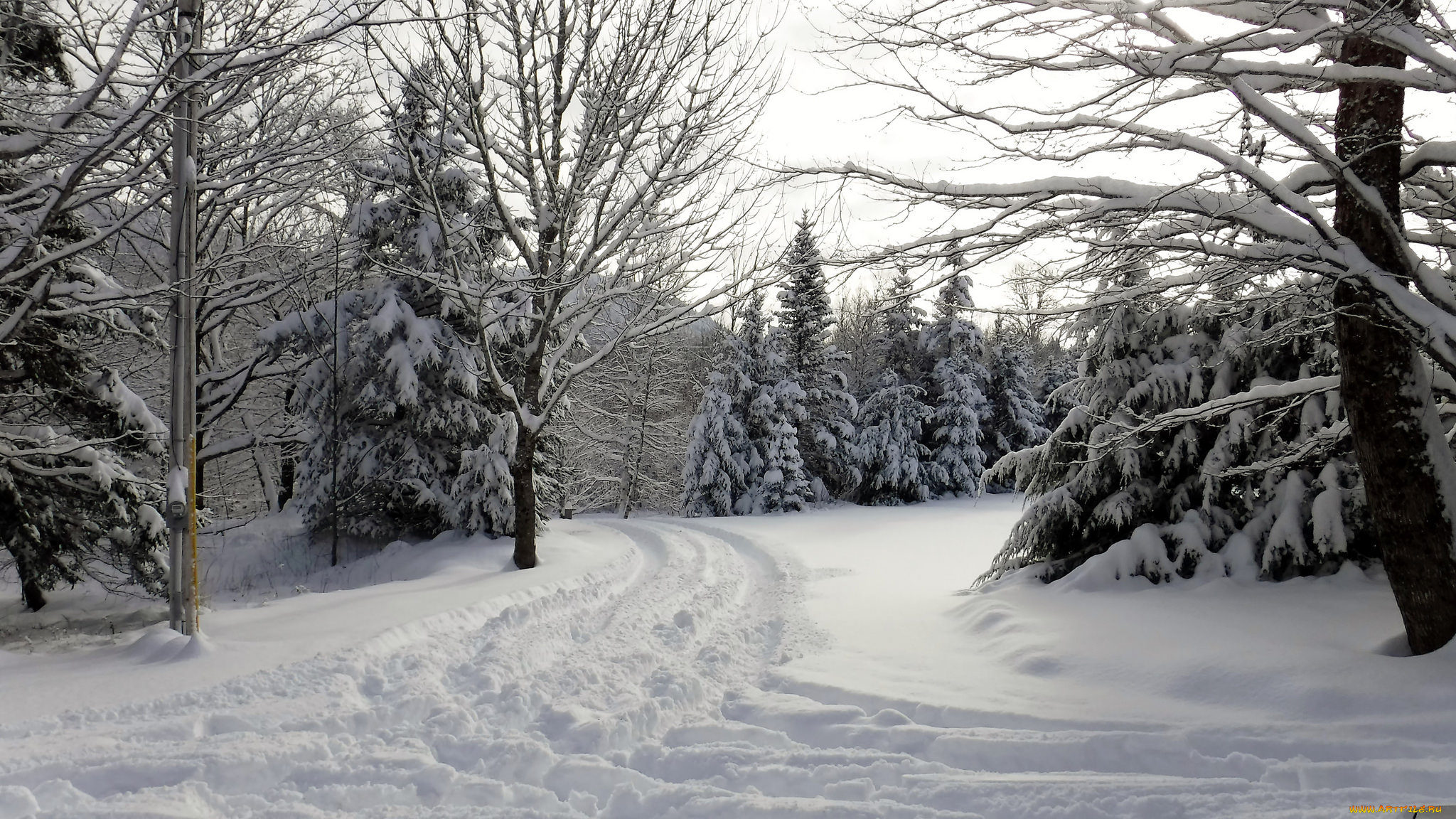 природа, зима, простор