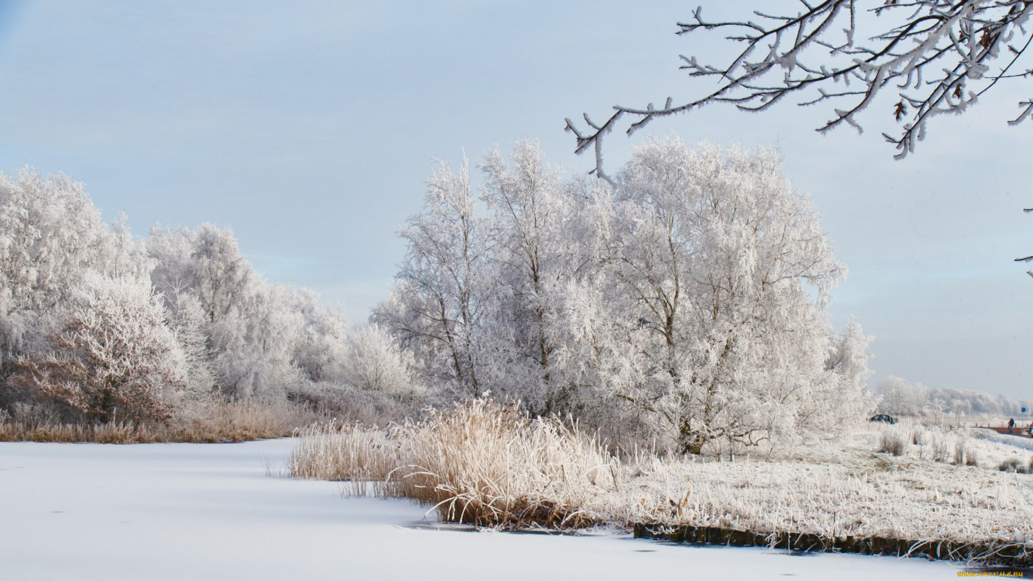 природа, зима, простор