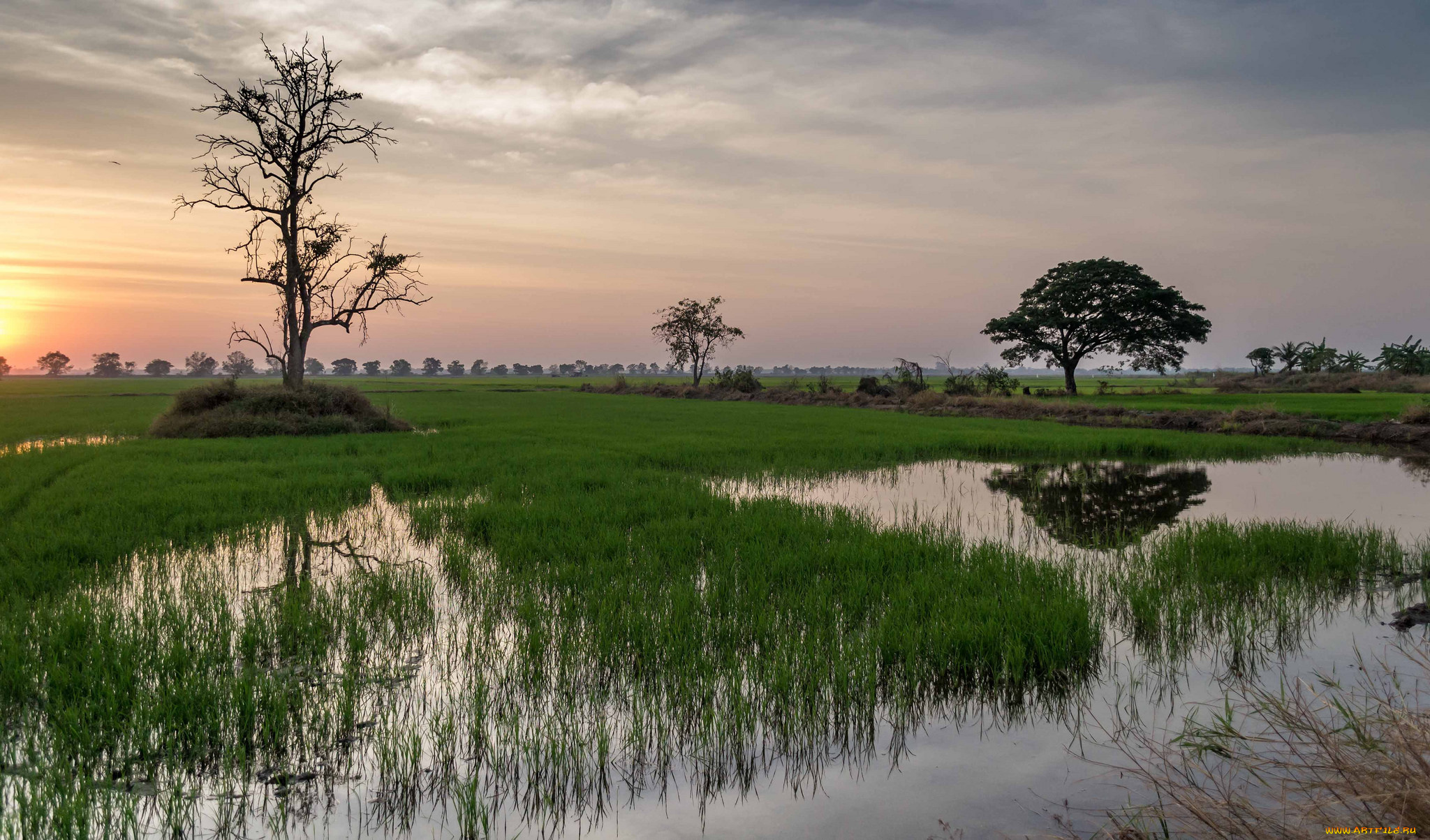 природа, реки, озера, простор