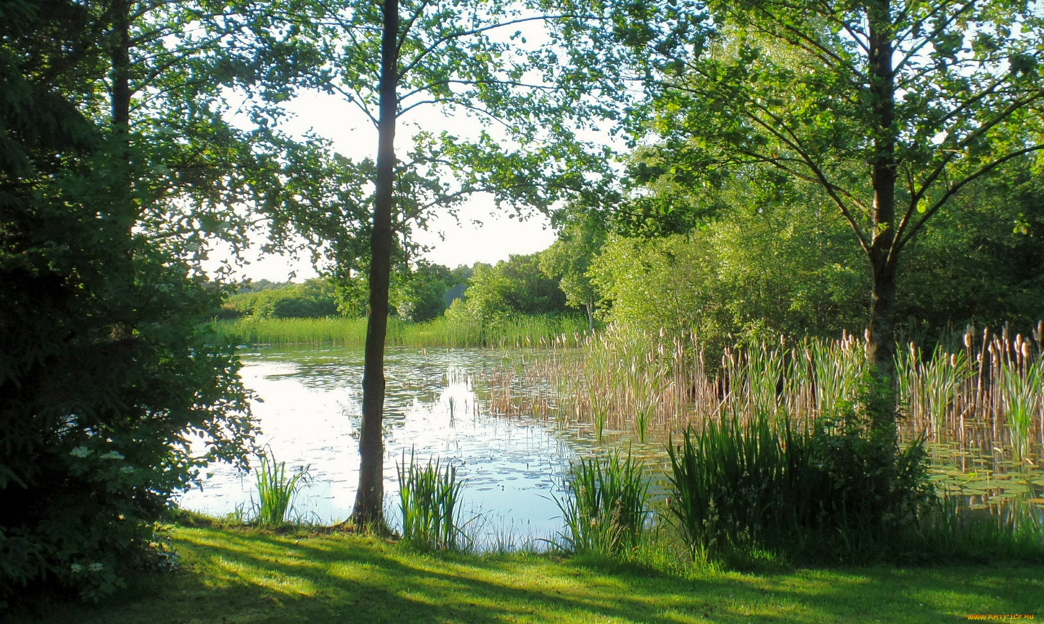 природа, реки, озера, простор