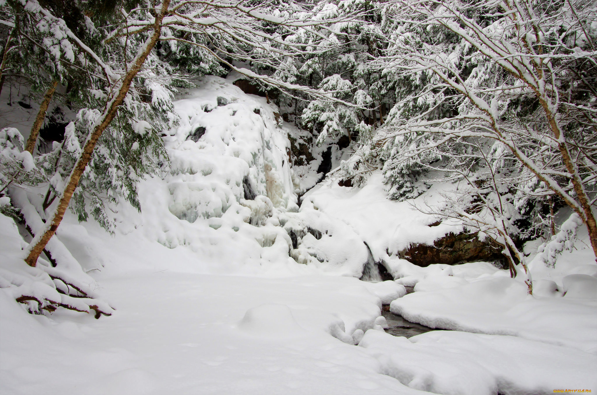 природа, зима, простор