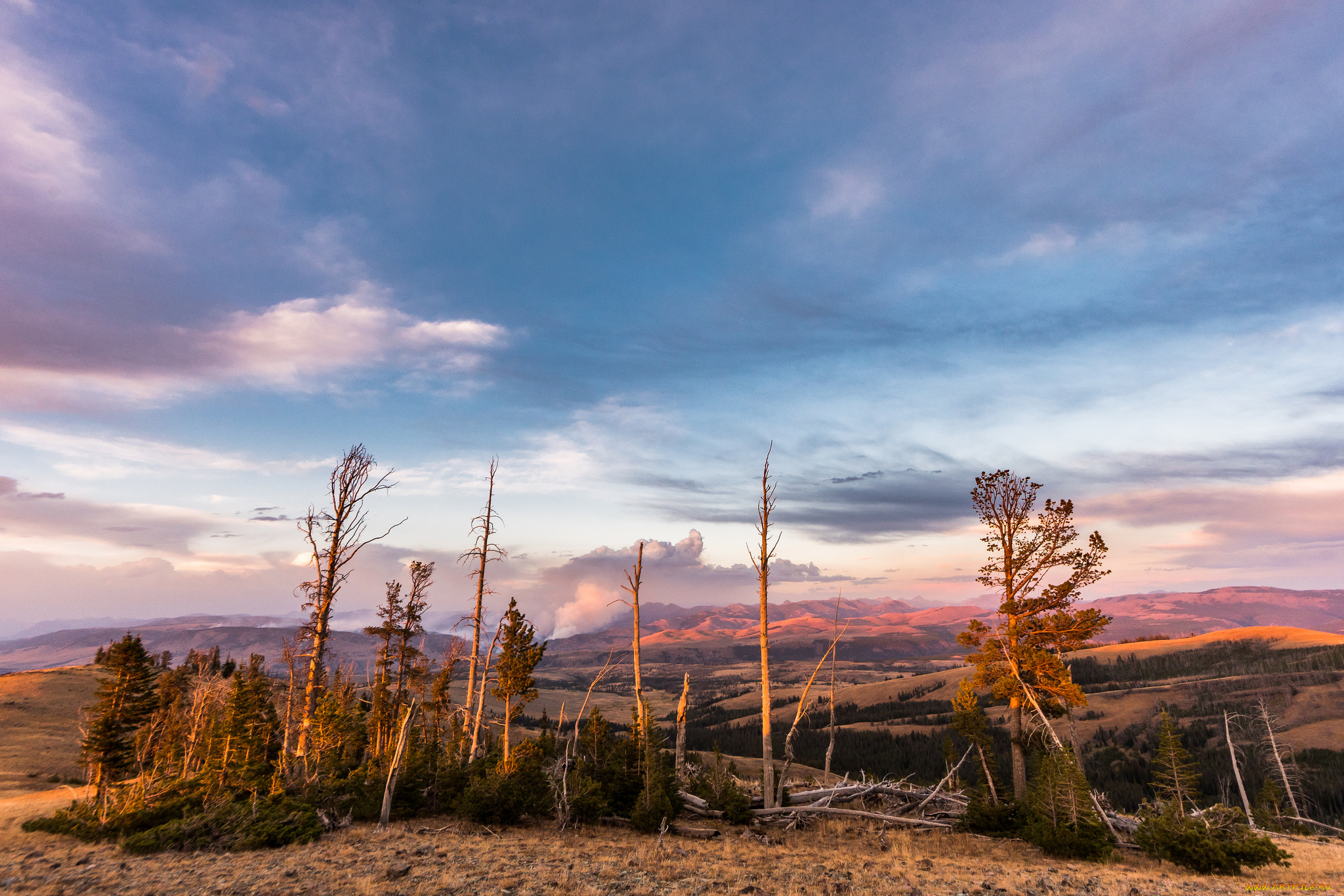 природа, пейзажи, простор
