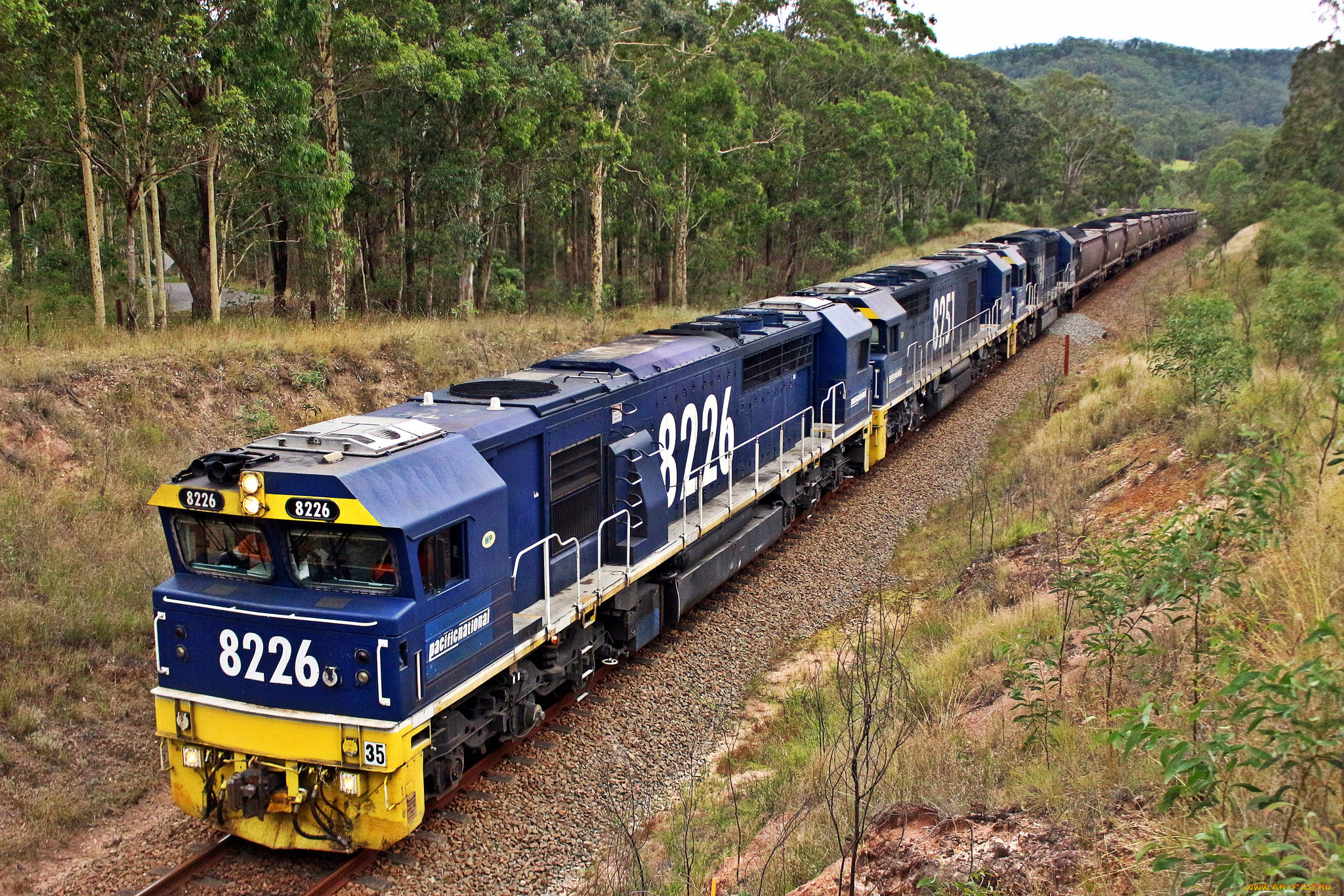 техника, поезда, локомотив, состав