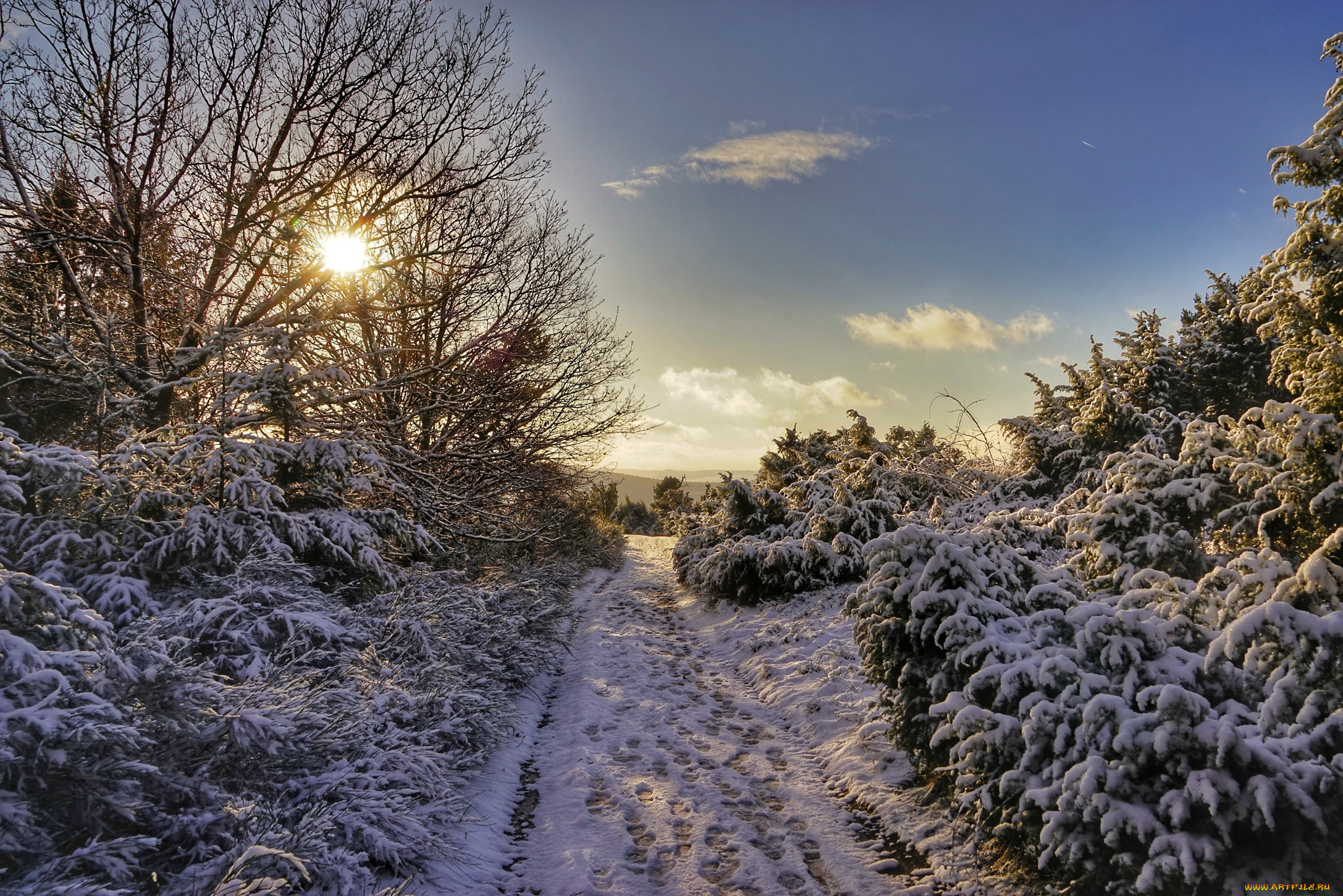 природа, зима, простор