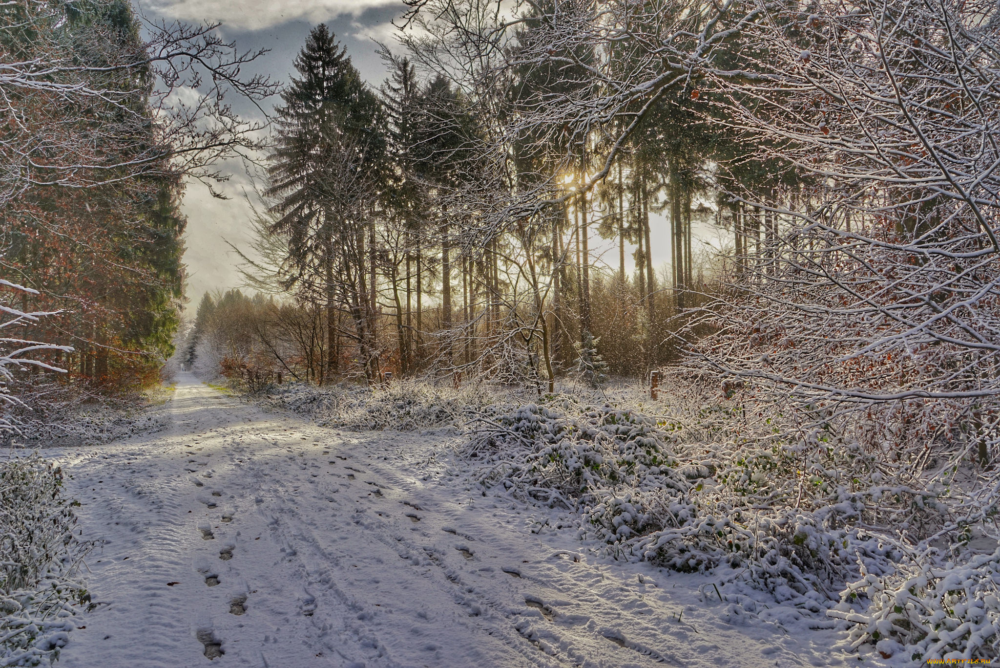 природа, зима, простор