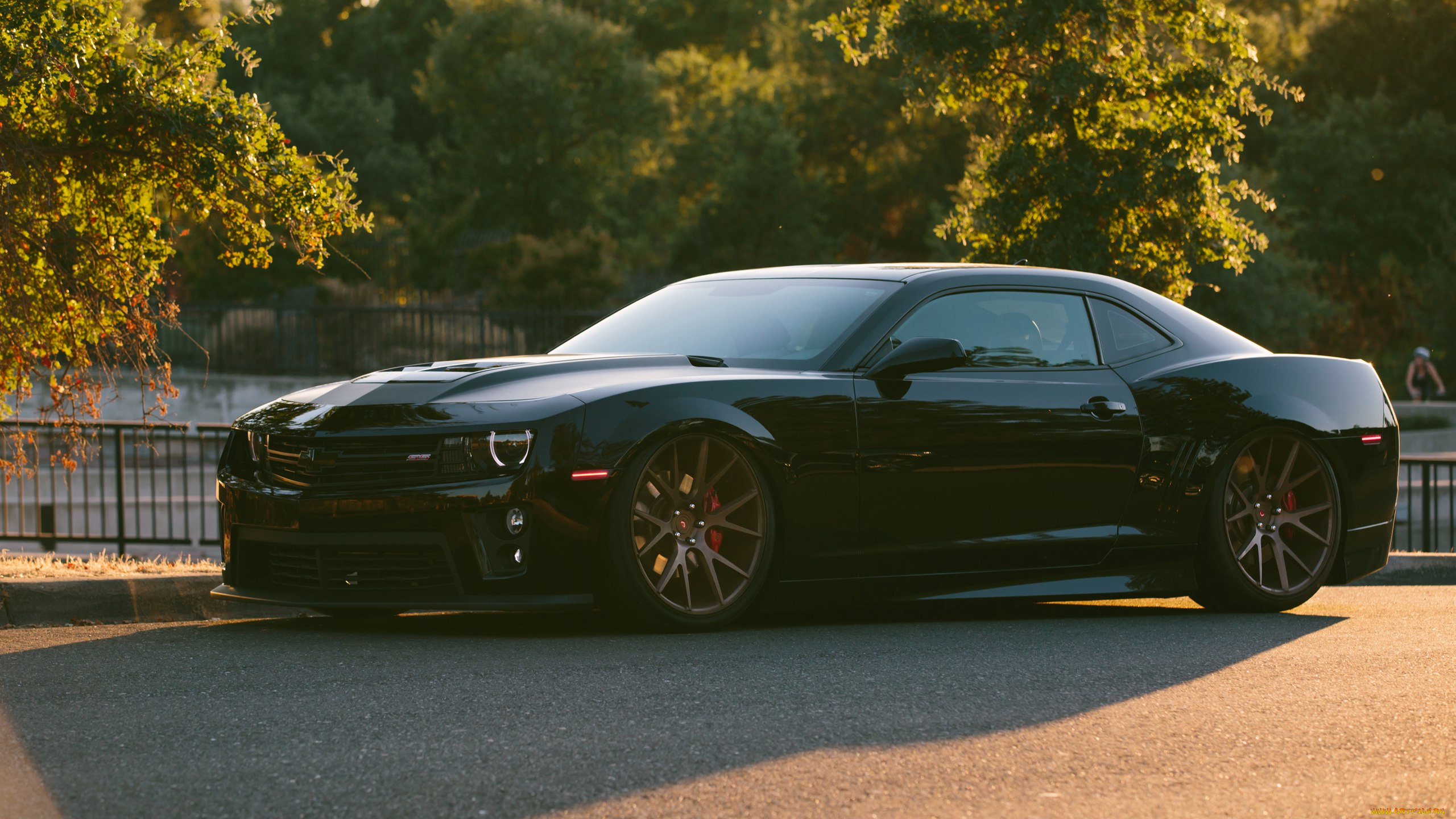 автомобили, camaro, chevrolet, ss