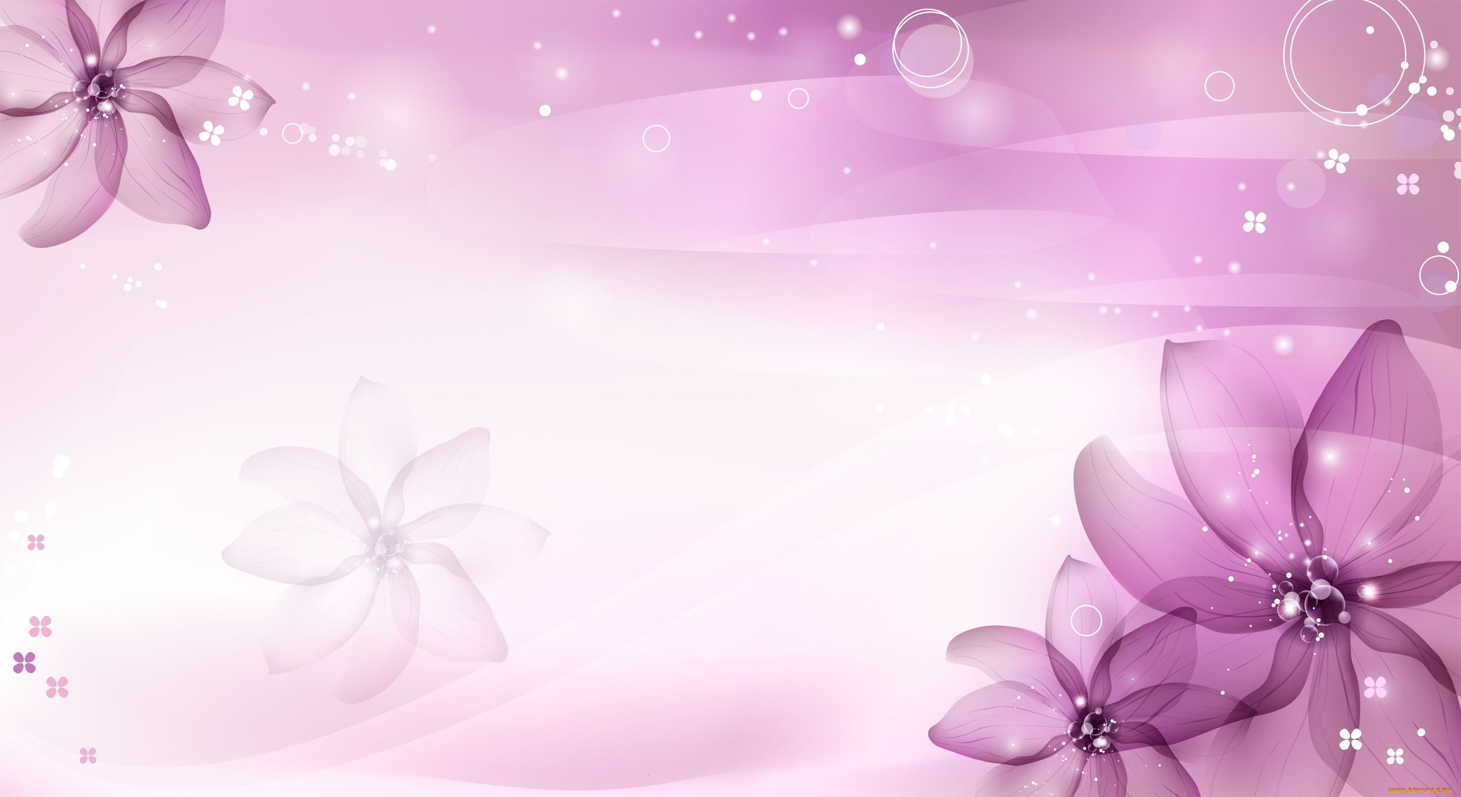 векторная, графика, цветы, , flowers, фон, цветы