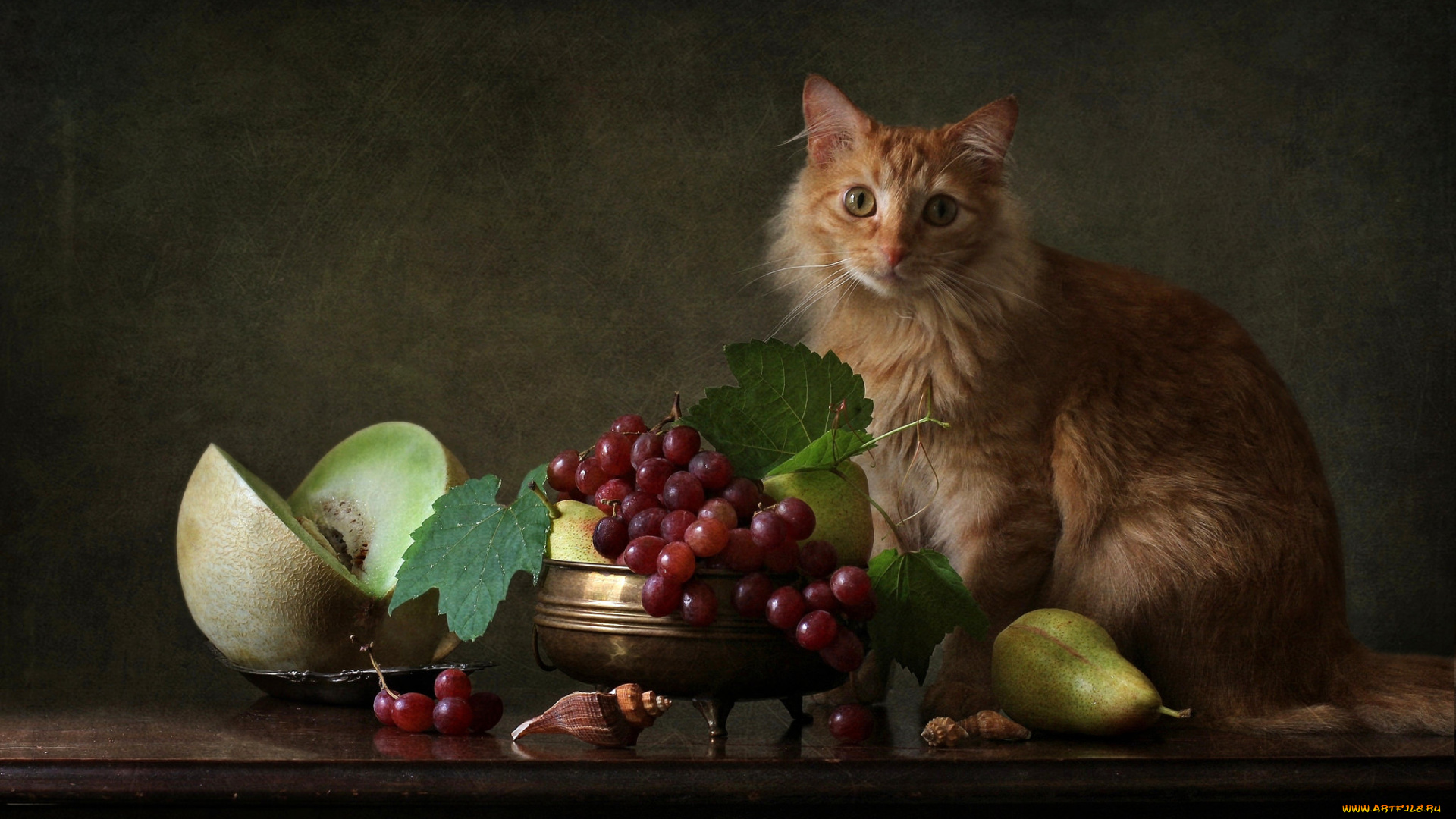 еда, натюрморт, снедь