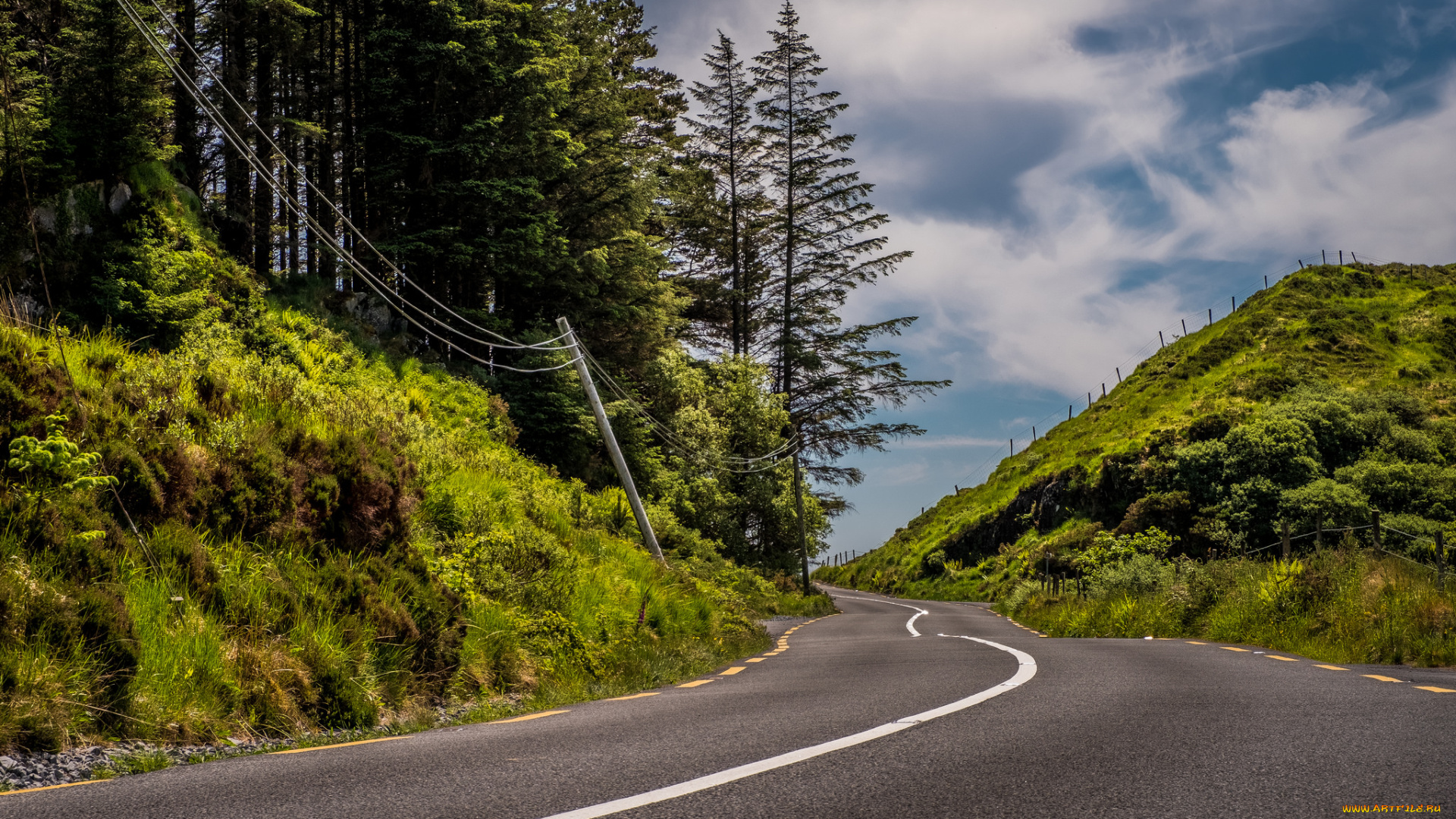 природа, дороги, простор